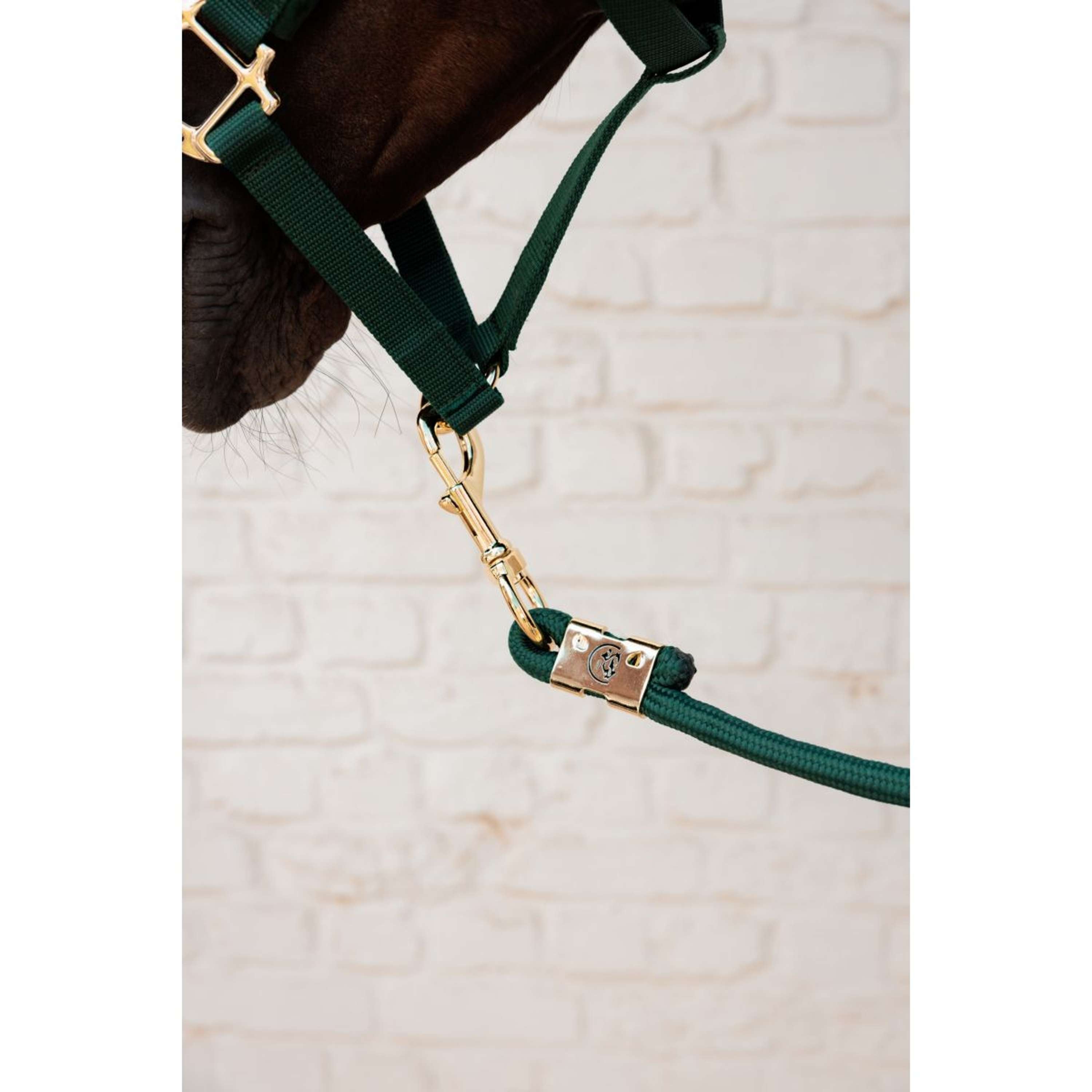 Kentucky Lina Do Prowadzenia Basic Pine Green