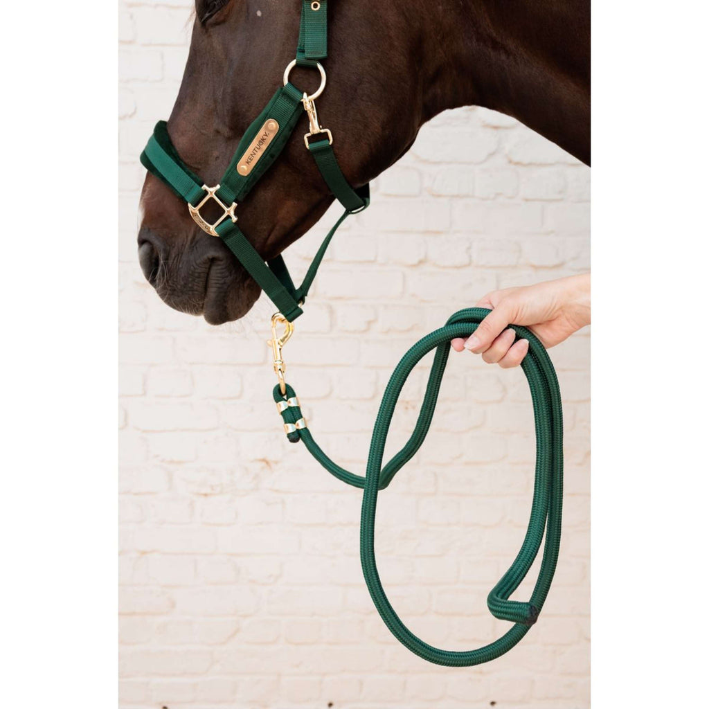 Kentucky Lina Do Prowadzenia Basic Pine Green