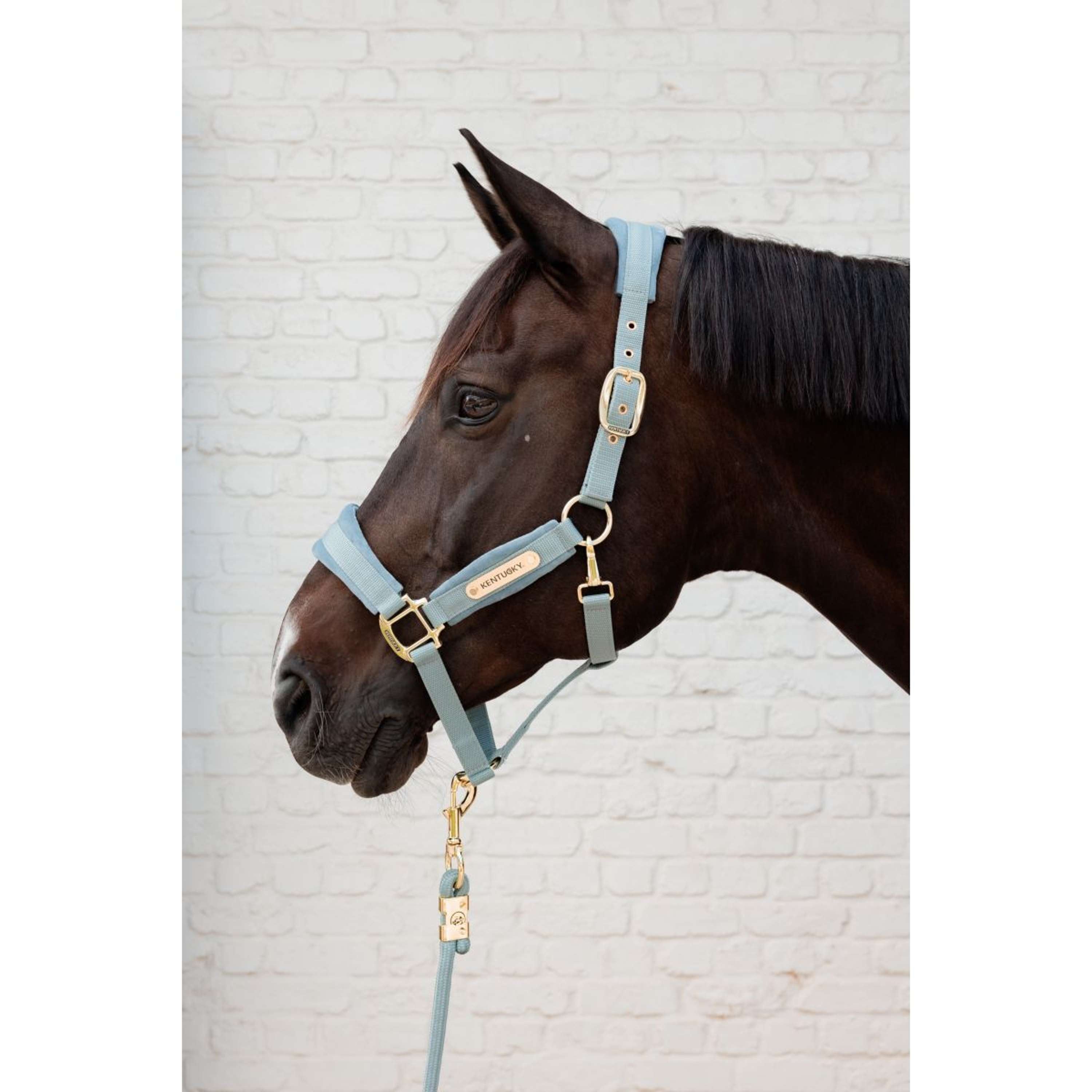 Kentucky Lina Do Prowadzenia Basic Jasnoniebieski