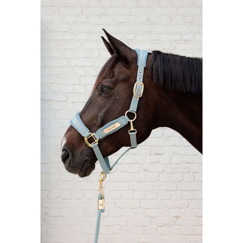 Kentucky Lina Do Prowadzenia Basic Jasnoniebieski