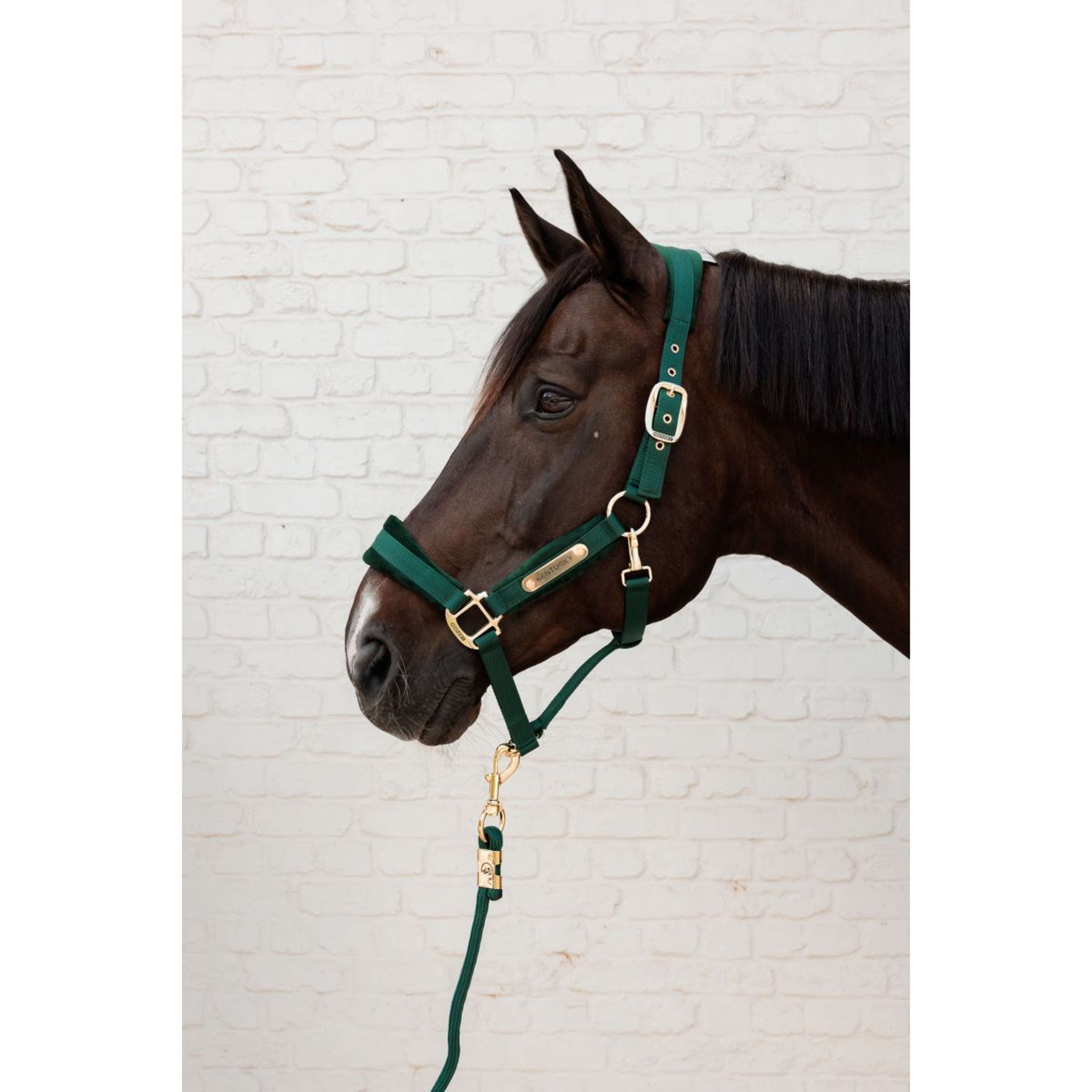 Kentucky Lina Do Prowadzenia Basic Pine Green