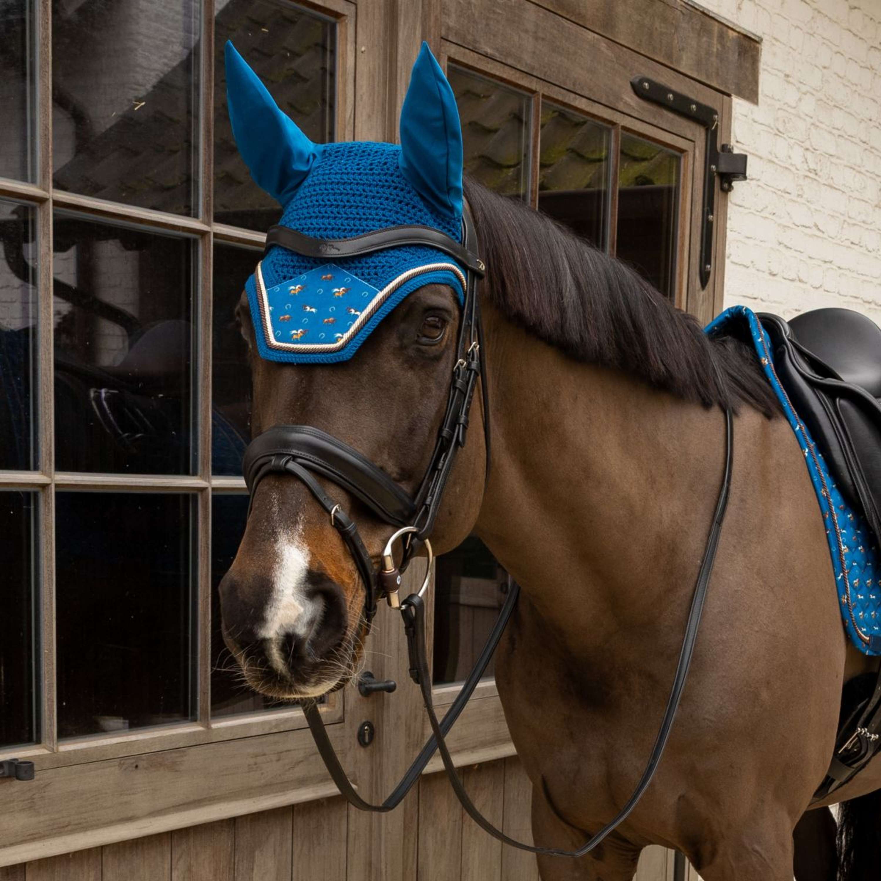 Kentucky Siateczka Na Uszy Wellington Velvet Horse Printing Granatowy