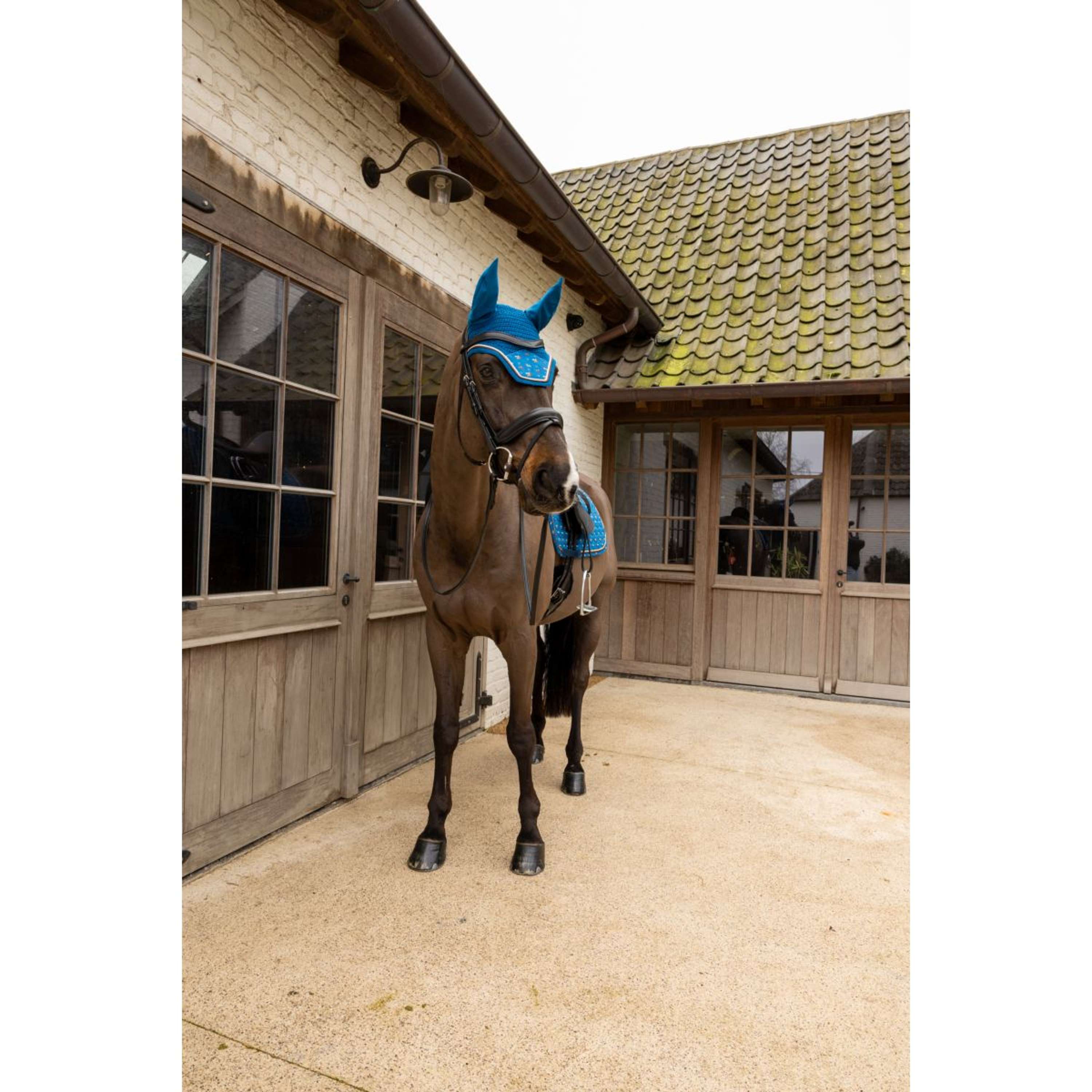 Kentucky Siateczka Na Uszy Wellington Velvet Horse Printing Granatowy