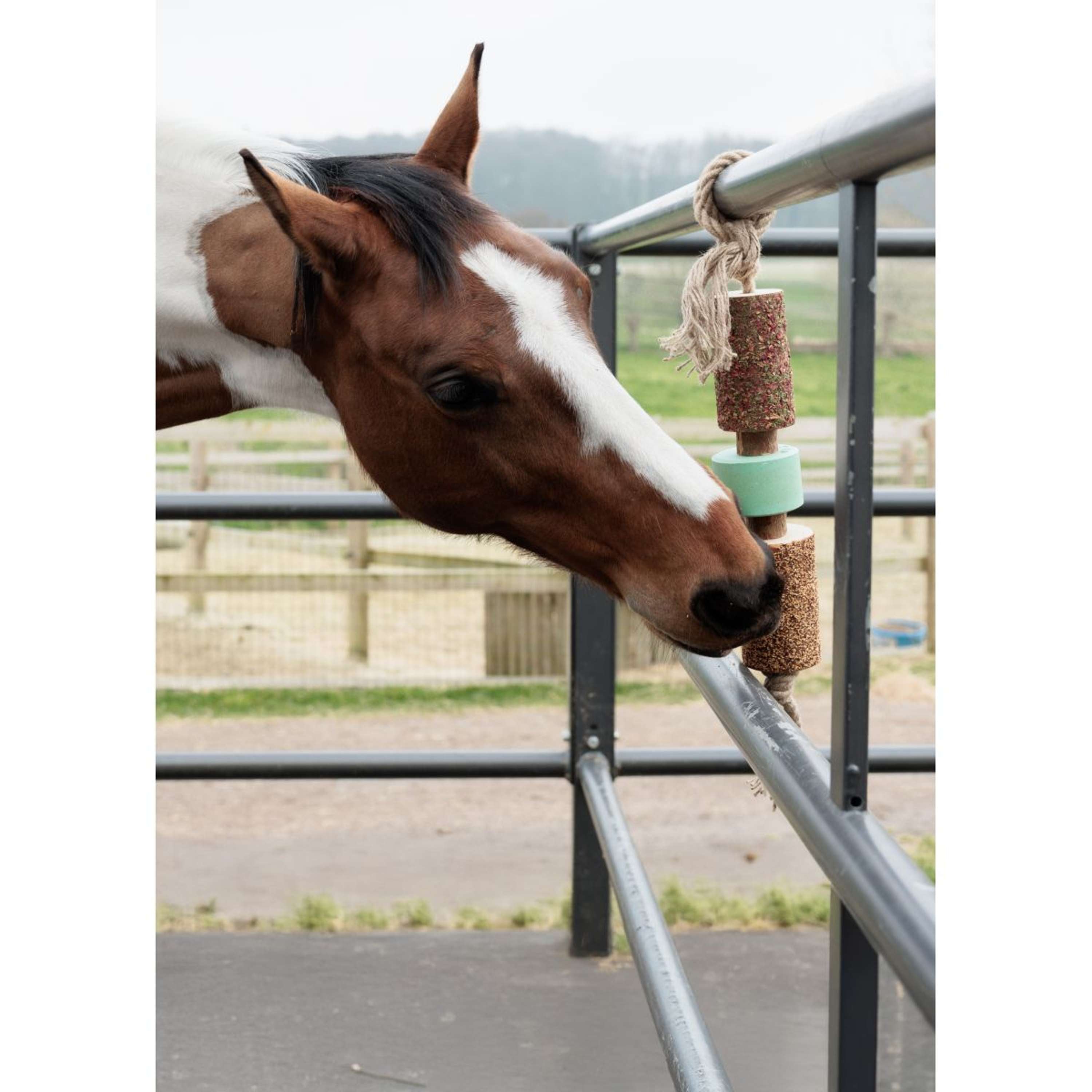 Grooming Deluxe by Kentucky Relax Horse Toy Wooden Airways with Salt Lick