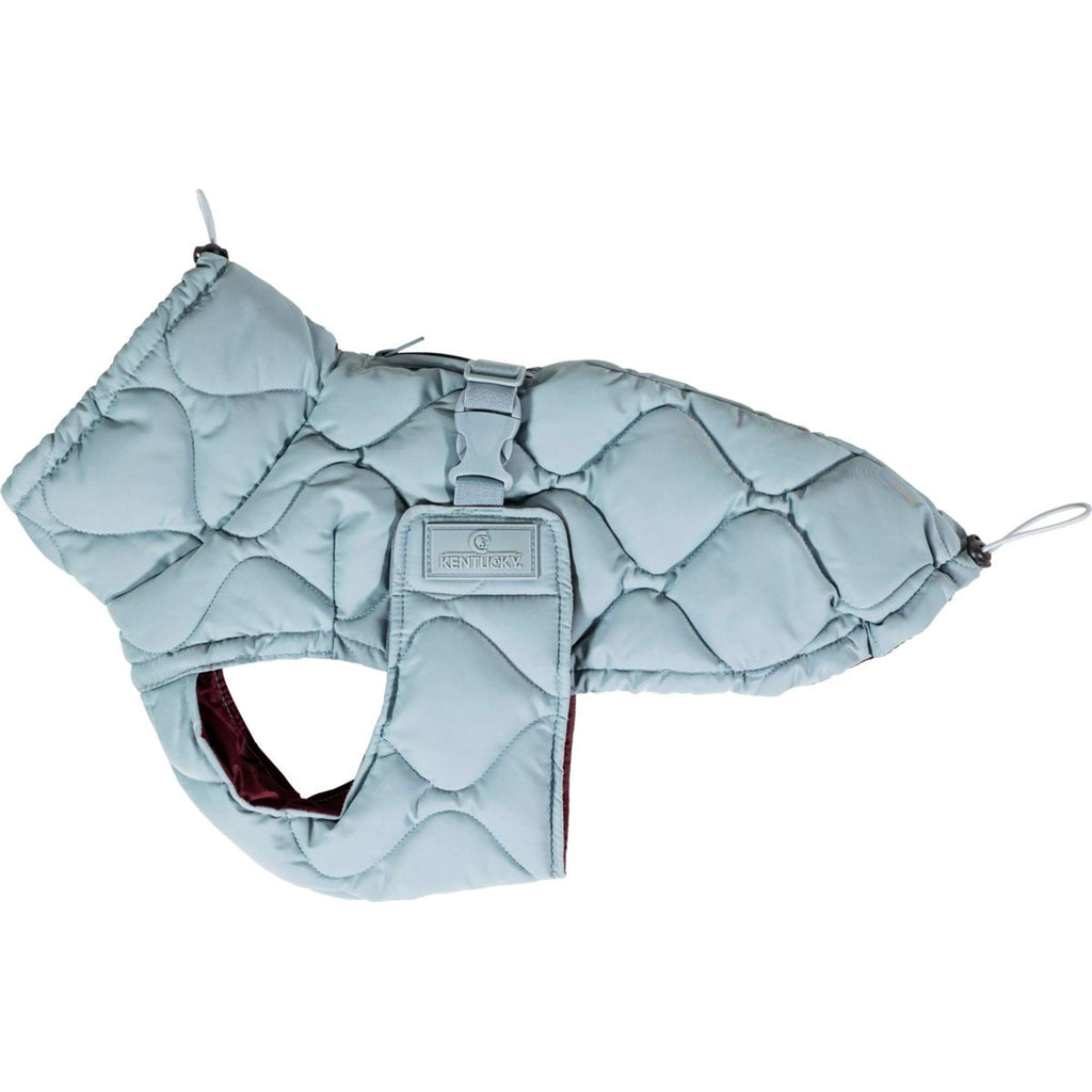 Kentucky Derka Dla Psa Winter Pina 160g Dusty Blue