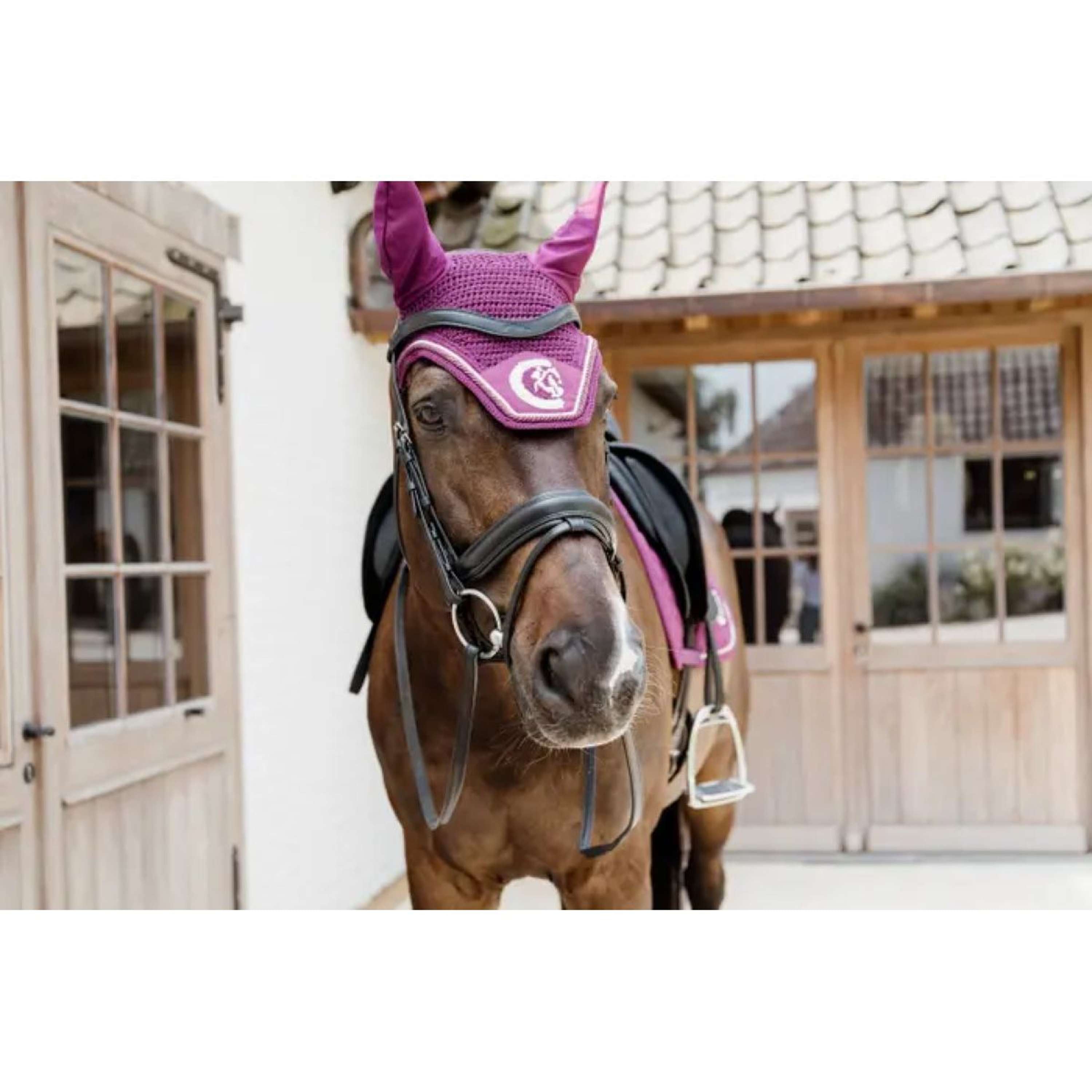 Kentucky Horsewear Nausznik Wellington 3D Logo Fioletowy