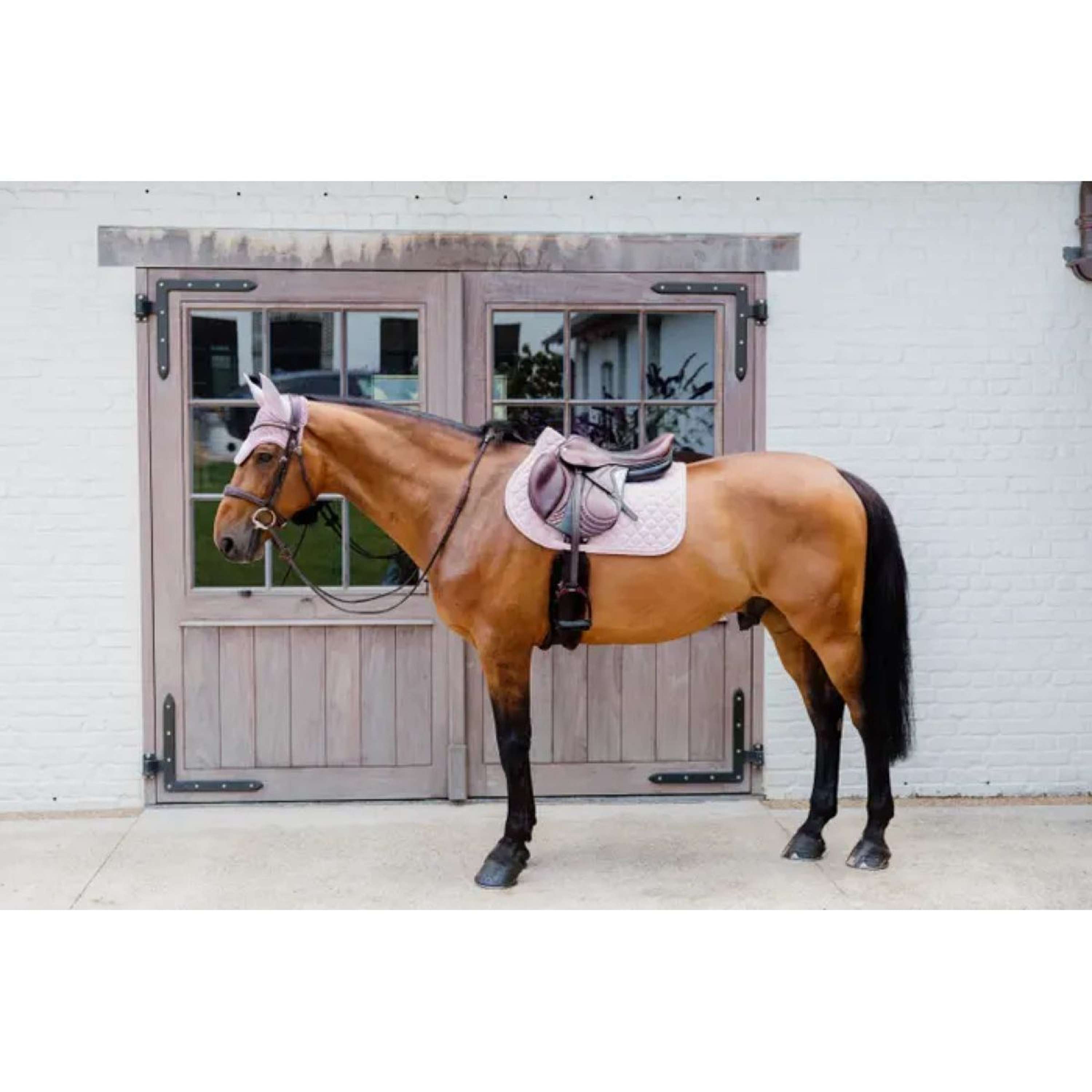Kentucky Horsewear Nauszniki Wellington 3D Logo Jasnoróżowe