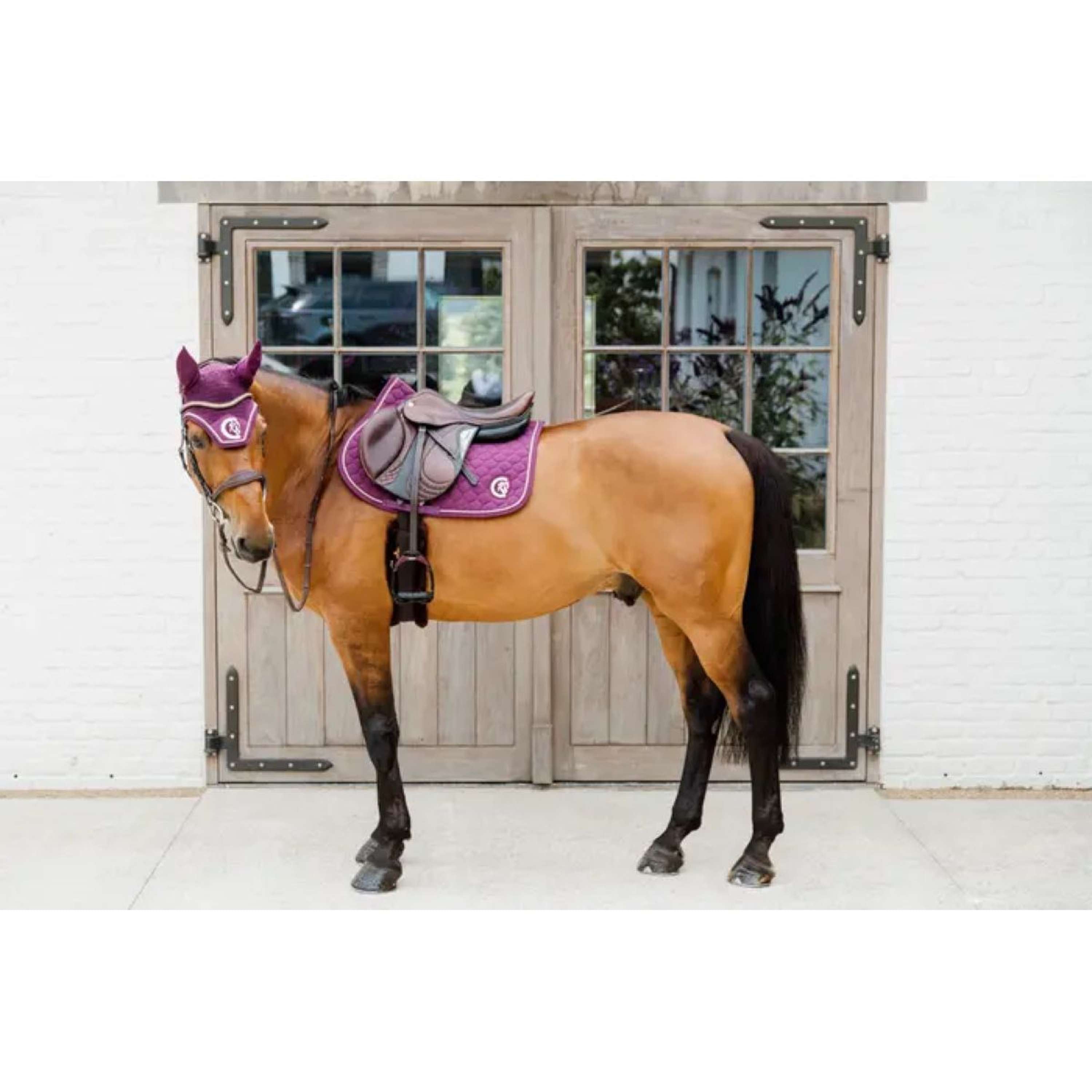 Kentucky Horsewear Nausznik Wellington 3D Logo Fioletowy