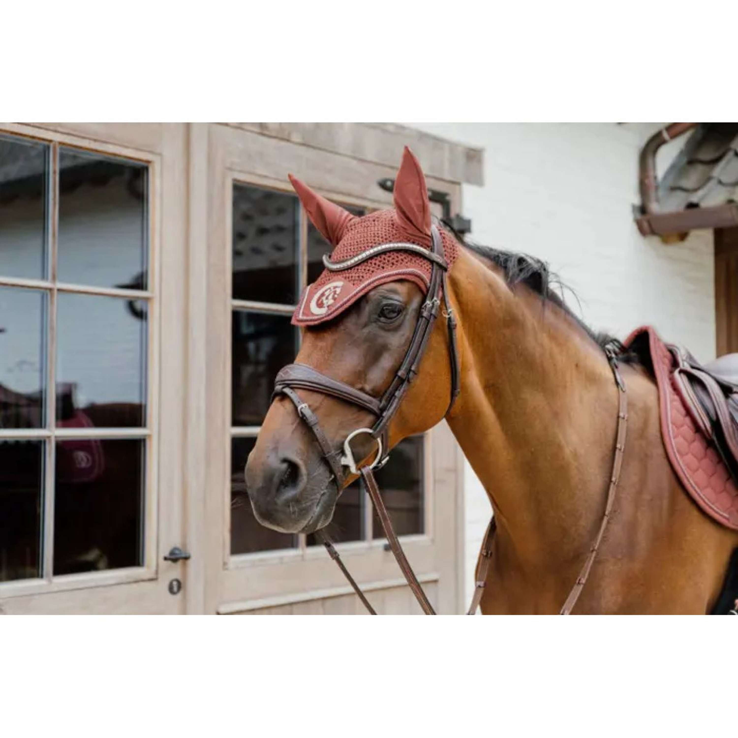 Kentucky Horsewear Nauszniki Wellington 3D Logo Fuksja