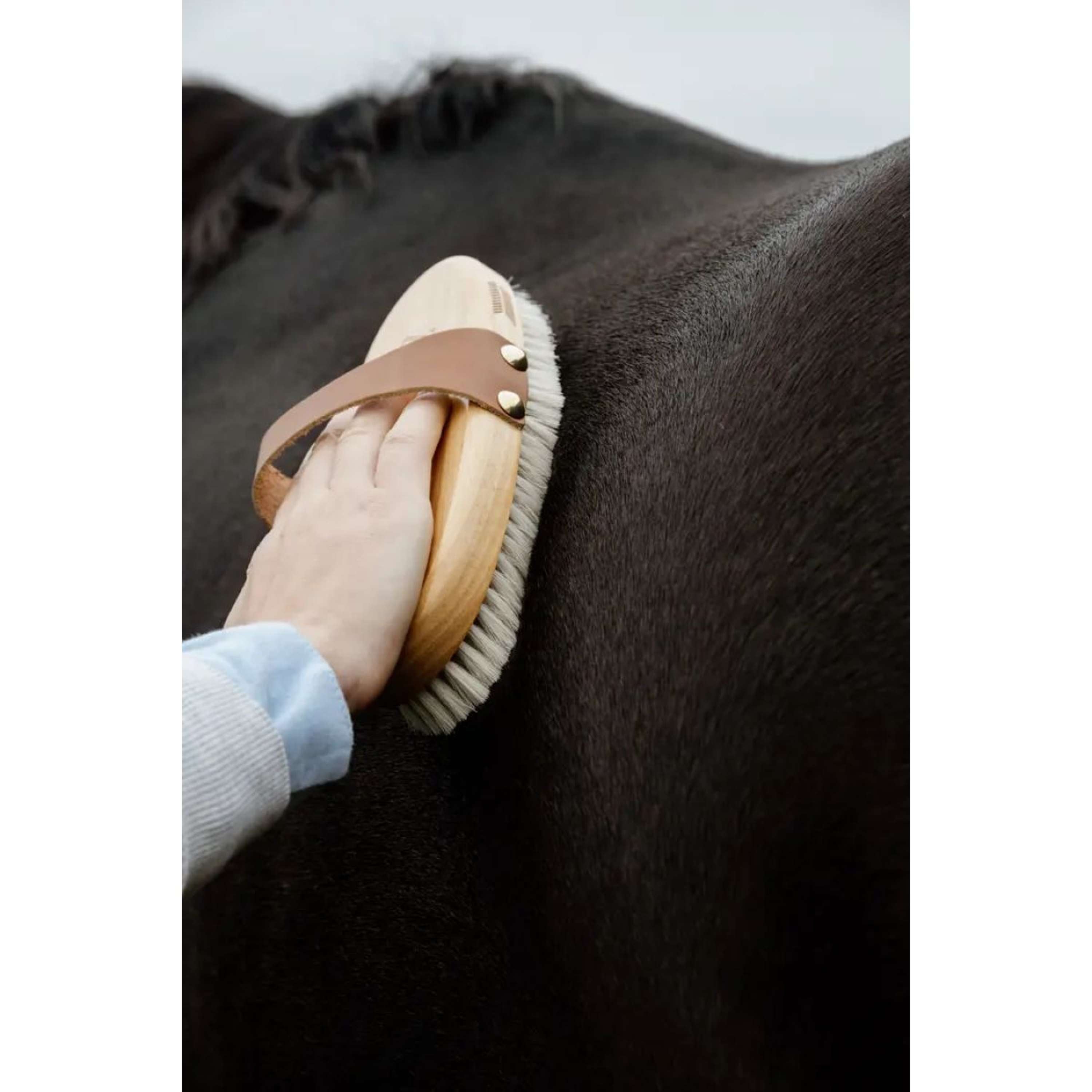 Kentucky Horsewear Szczotka Soft Shine