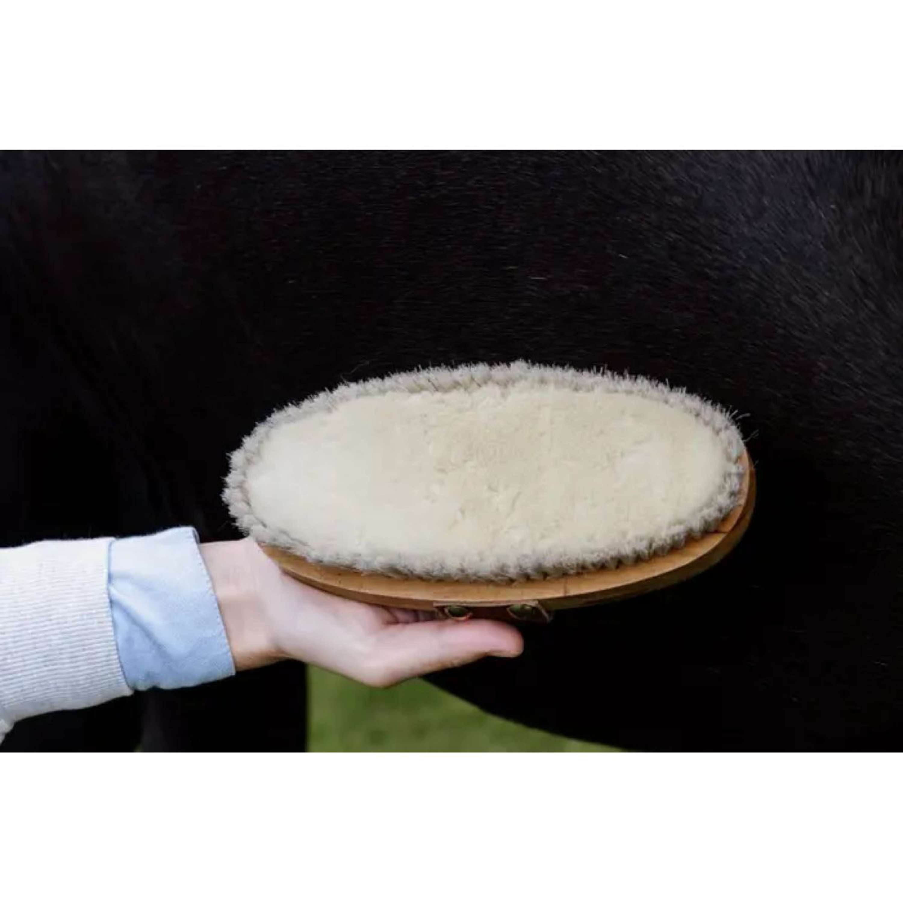 Kentucky Horsewear Szczotka Soft Shine