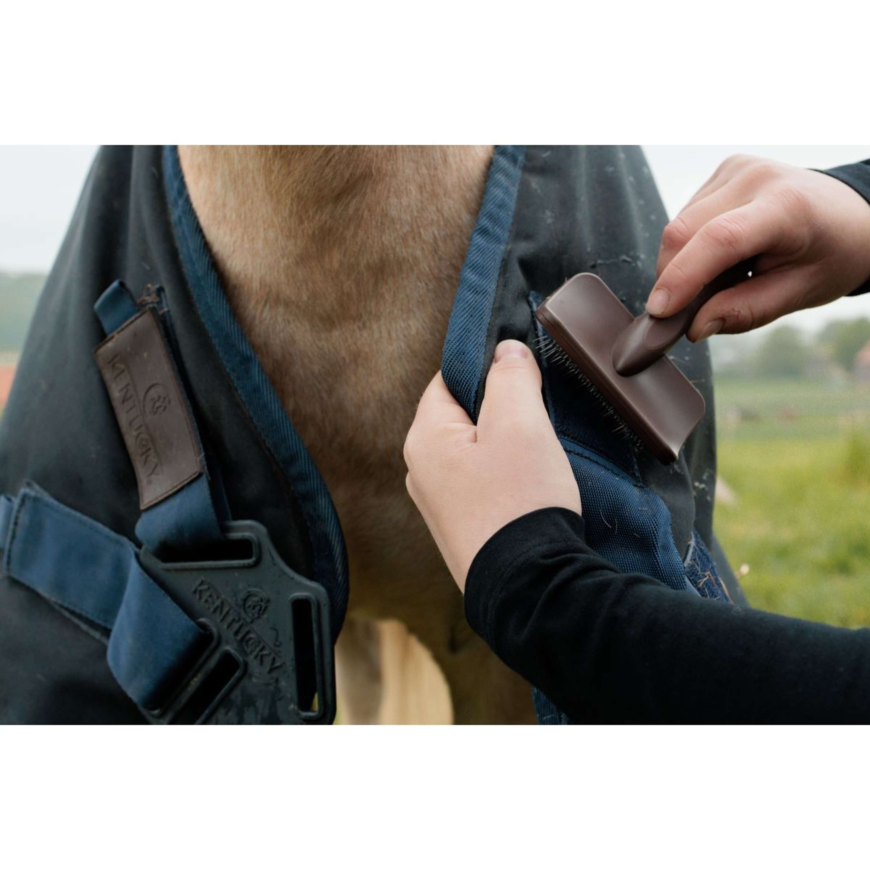 Grooming Deluxe by Kentucky Velcro Cleaning Brush Brązowy