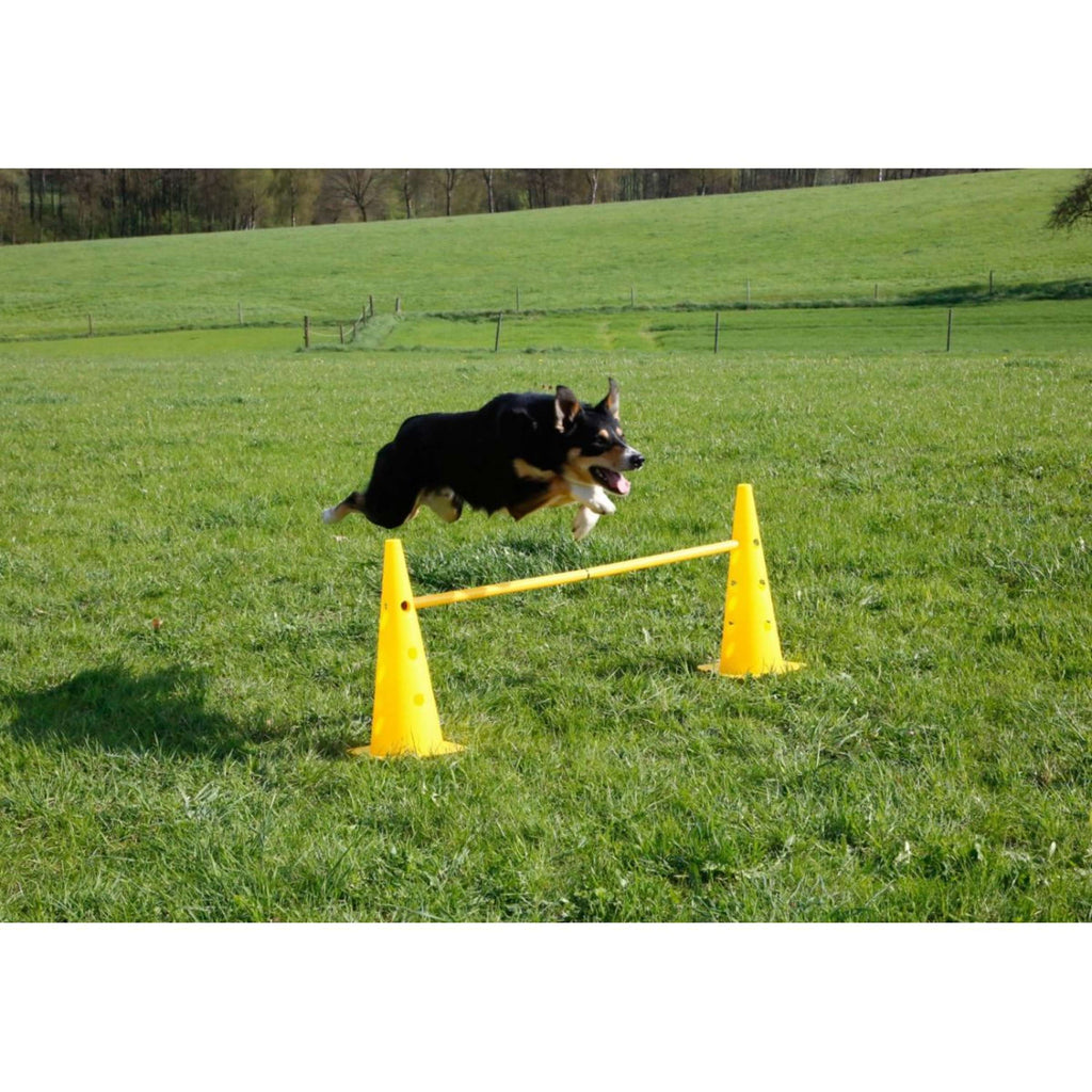 Kerbl Agility Zestaw Pachołków 3 Przeszkody Czerwony/Żółty