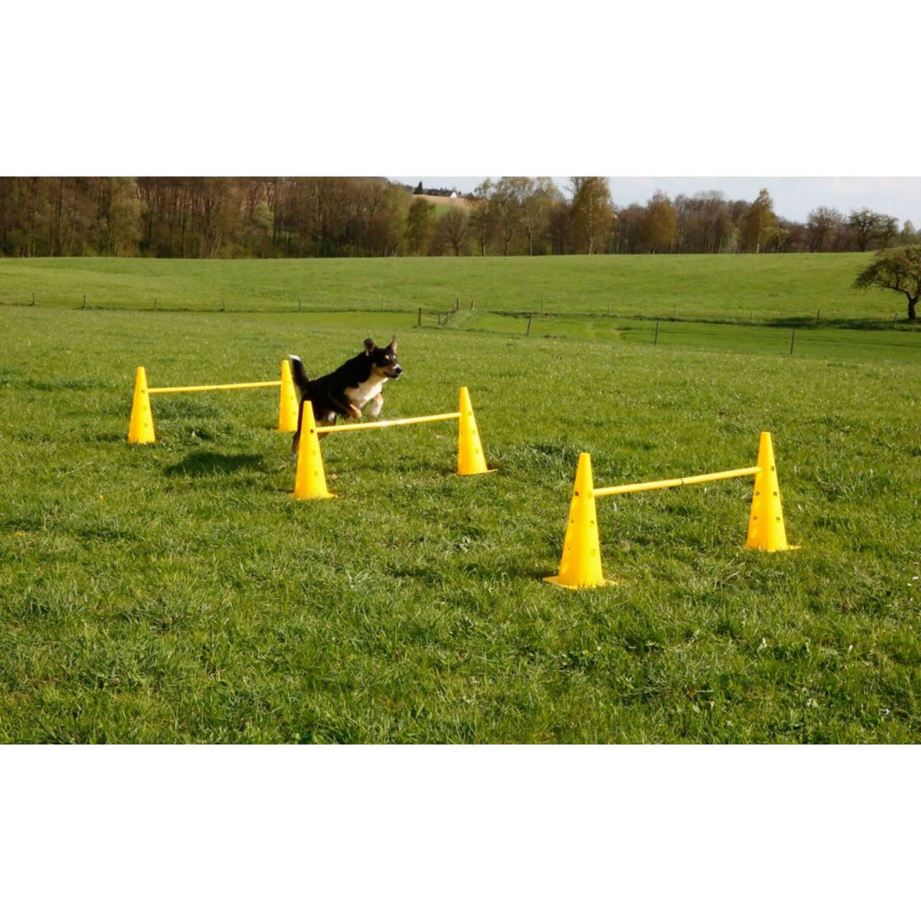 Kerbl Agility Zestaw Pachołków 3 Przeszkody Czerwony/Żółty