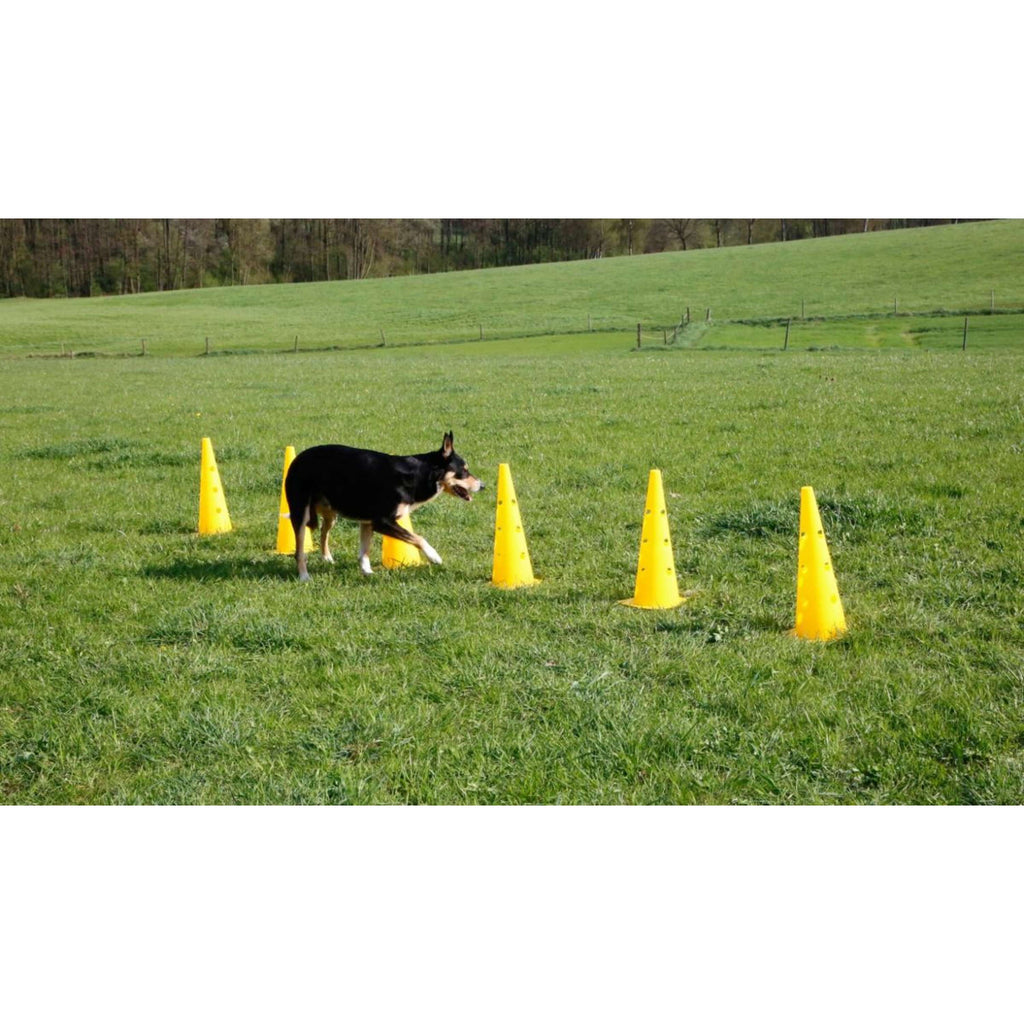 Kerbl Agility Zestaw Pachołków 3 Przeszkody Czerwony/Żółty