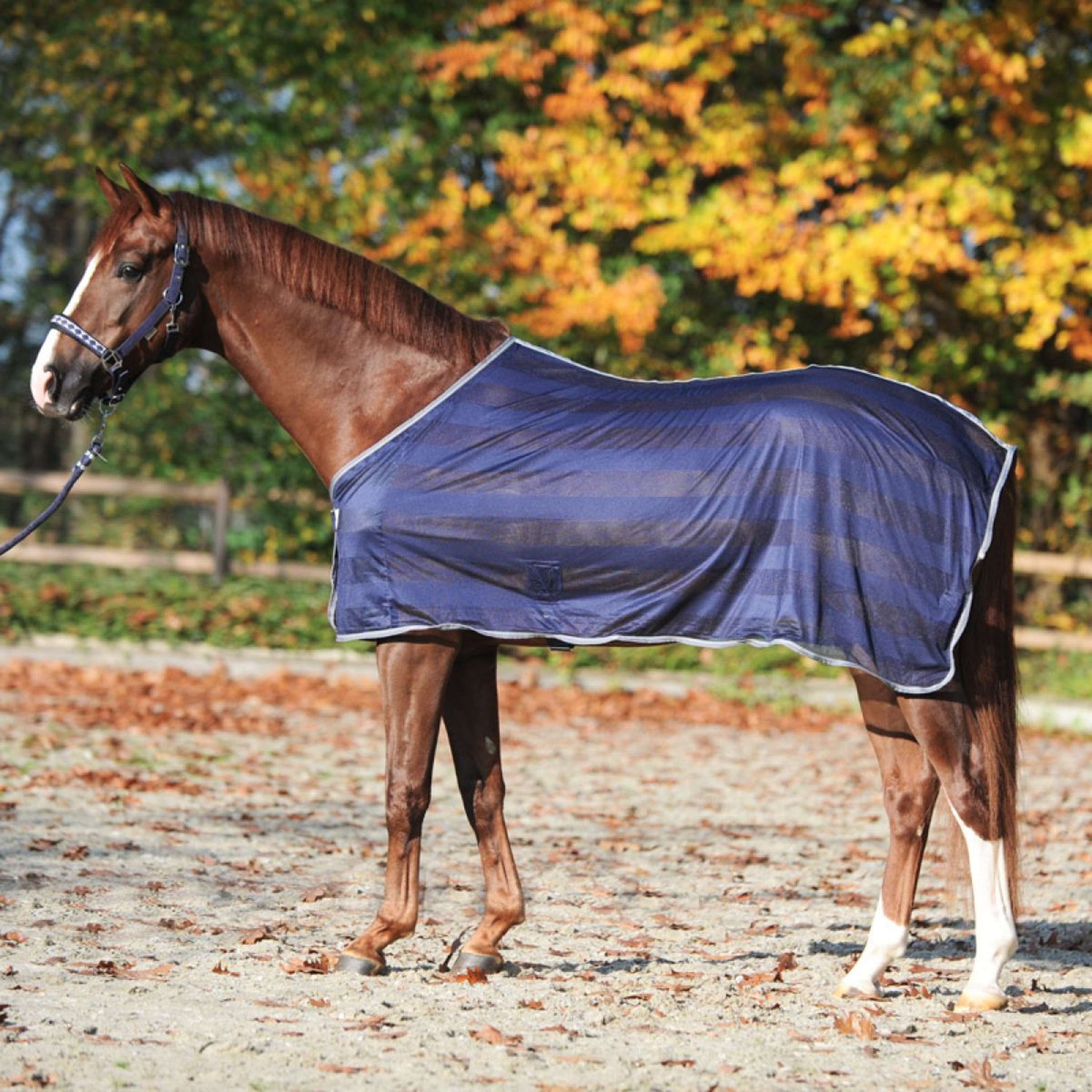 Kavalkade Derka Przeciw Muchom Stripe Granatowy