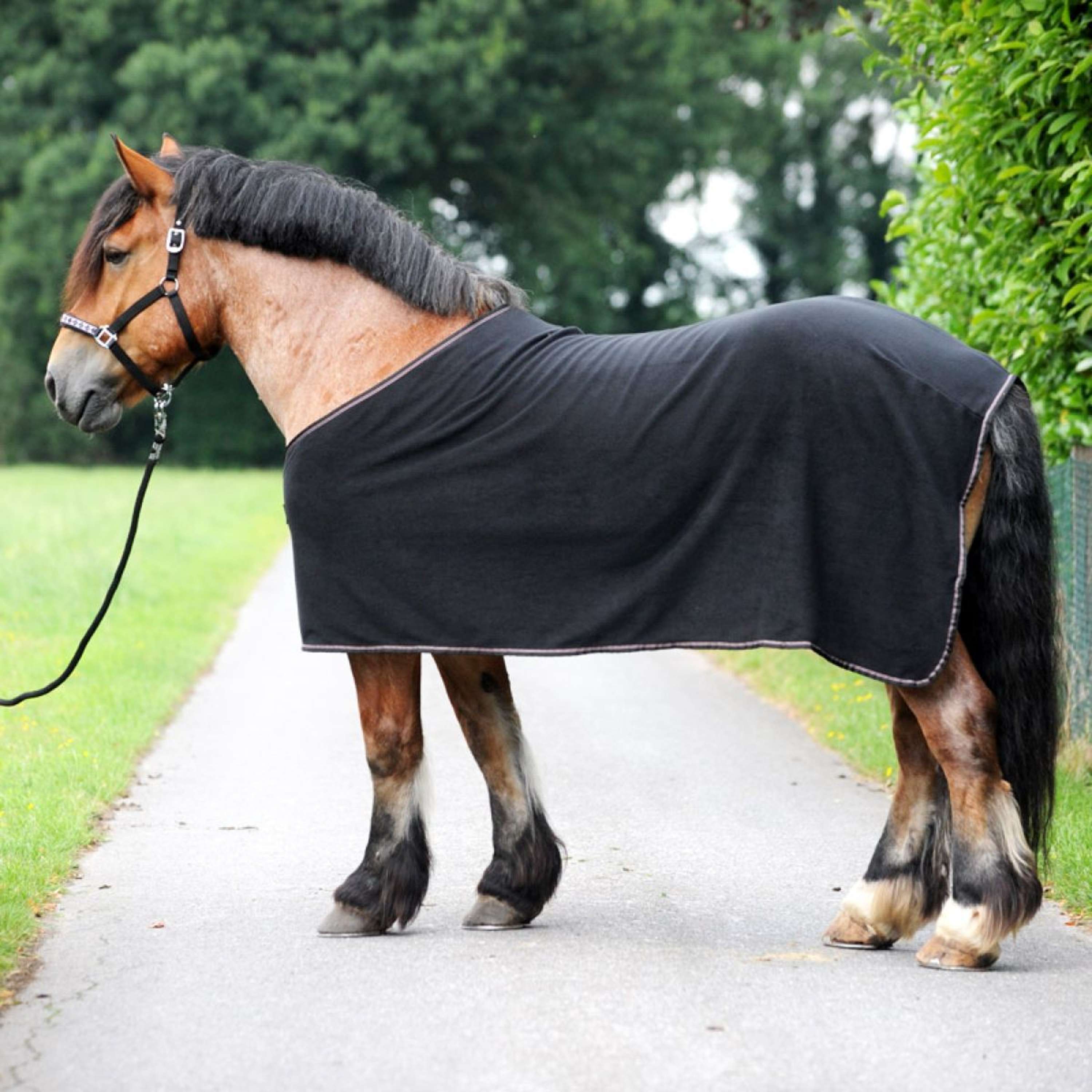 Kavalkade Fleece Cooler Kaltblut-Ecoline Czarny