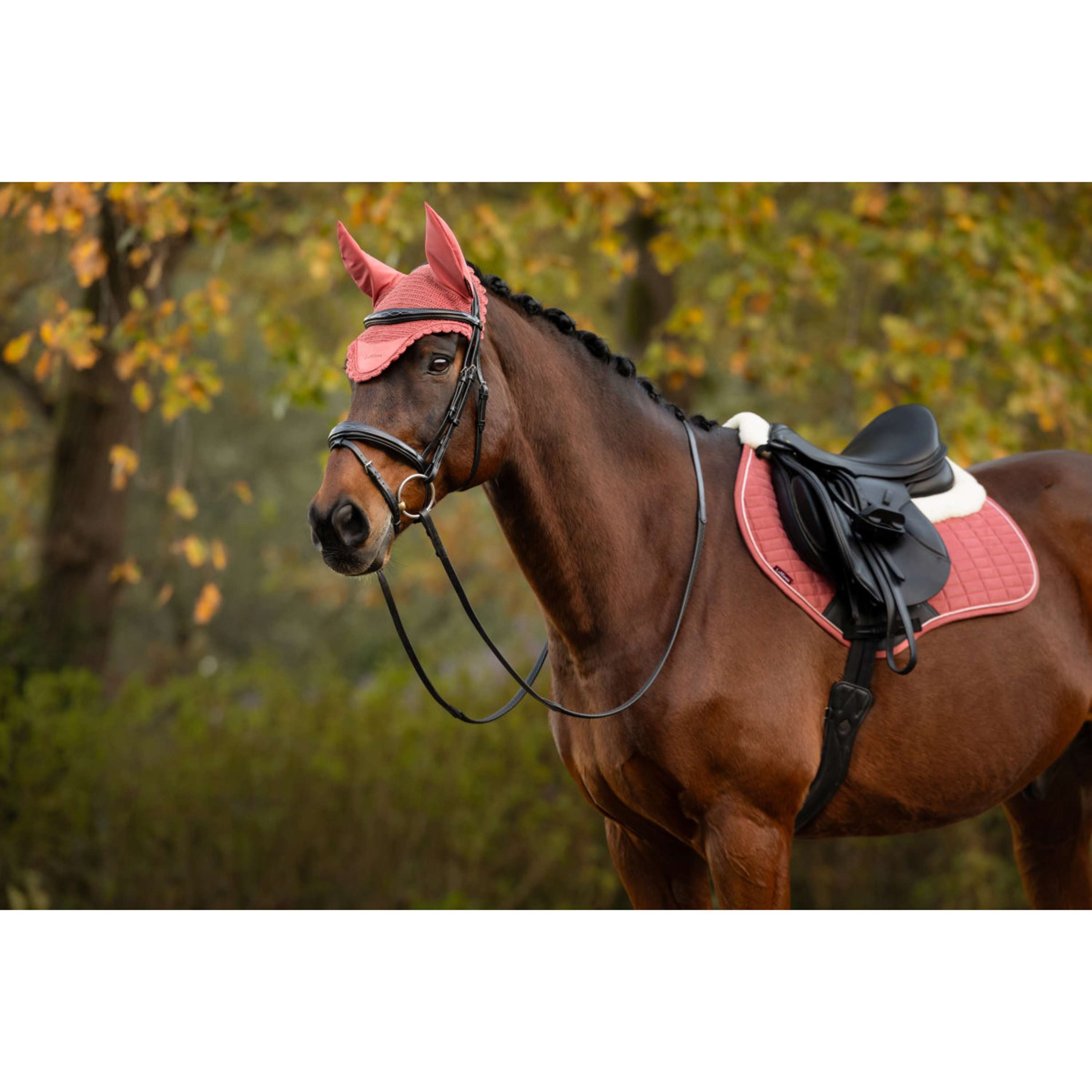 LeMieux Siateczka Na Uszy Classique Spiced Earth