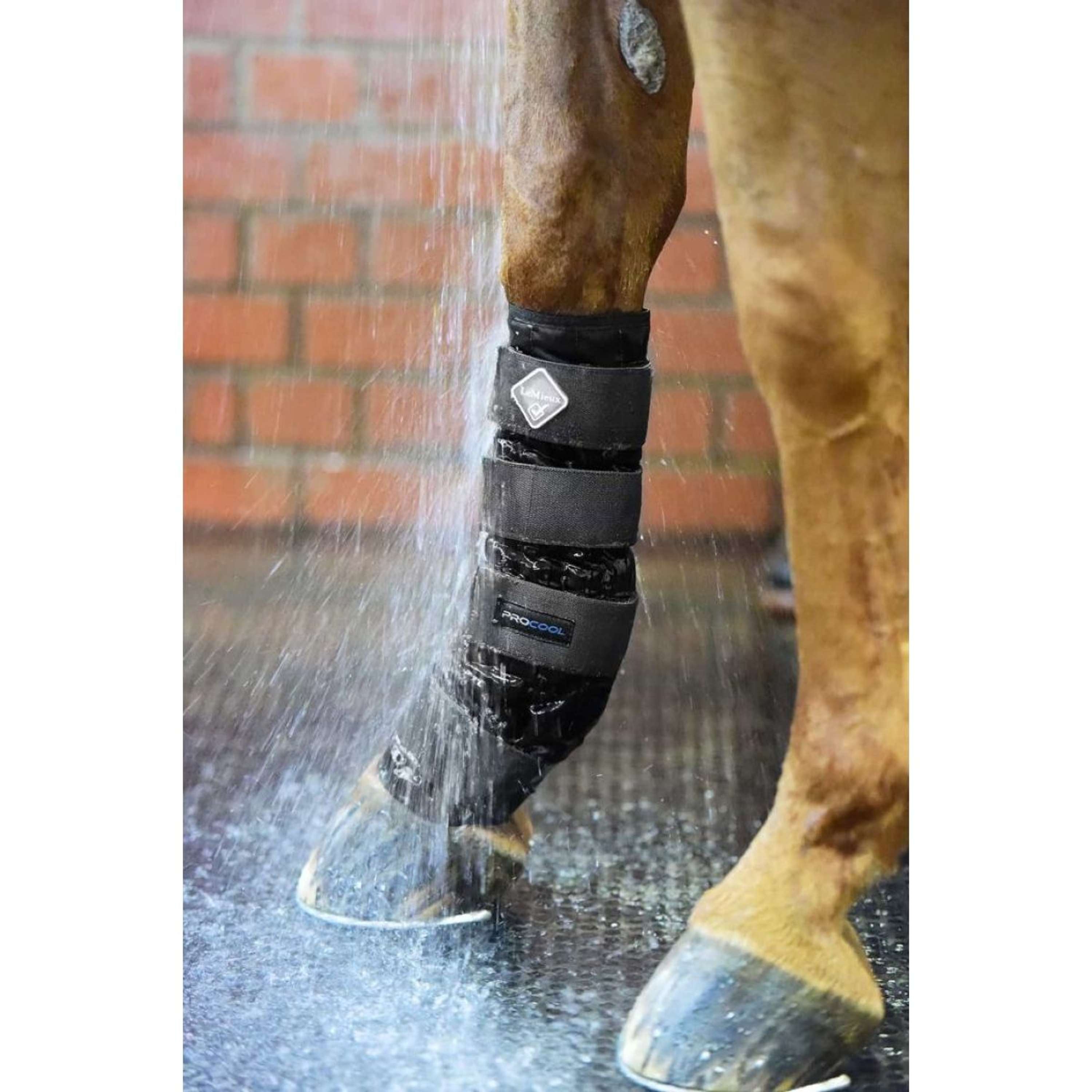LeMieux Buty Cold Water Czarne