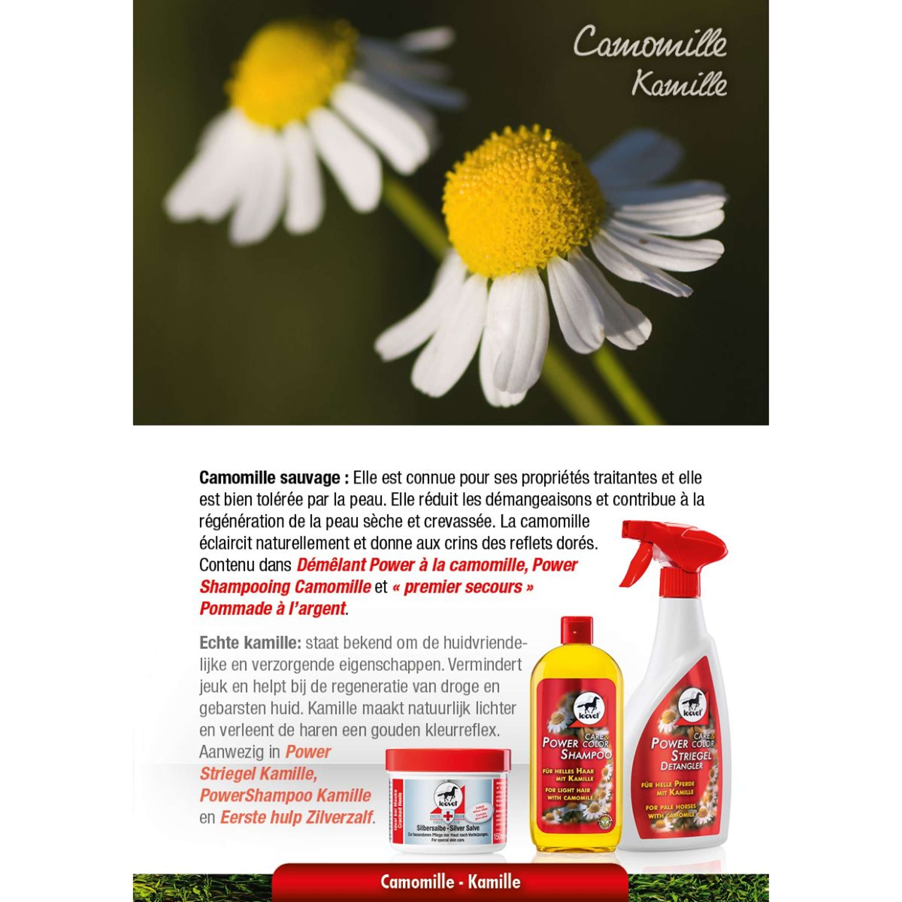 Leovet Power Szampon Rumianek
