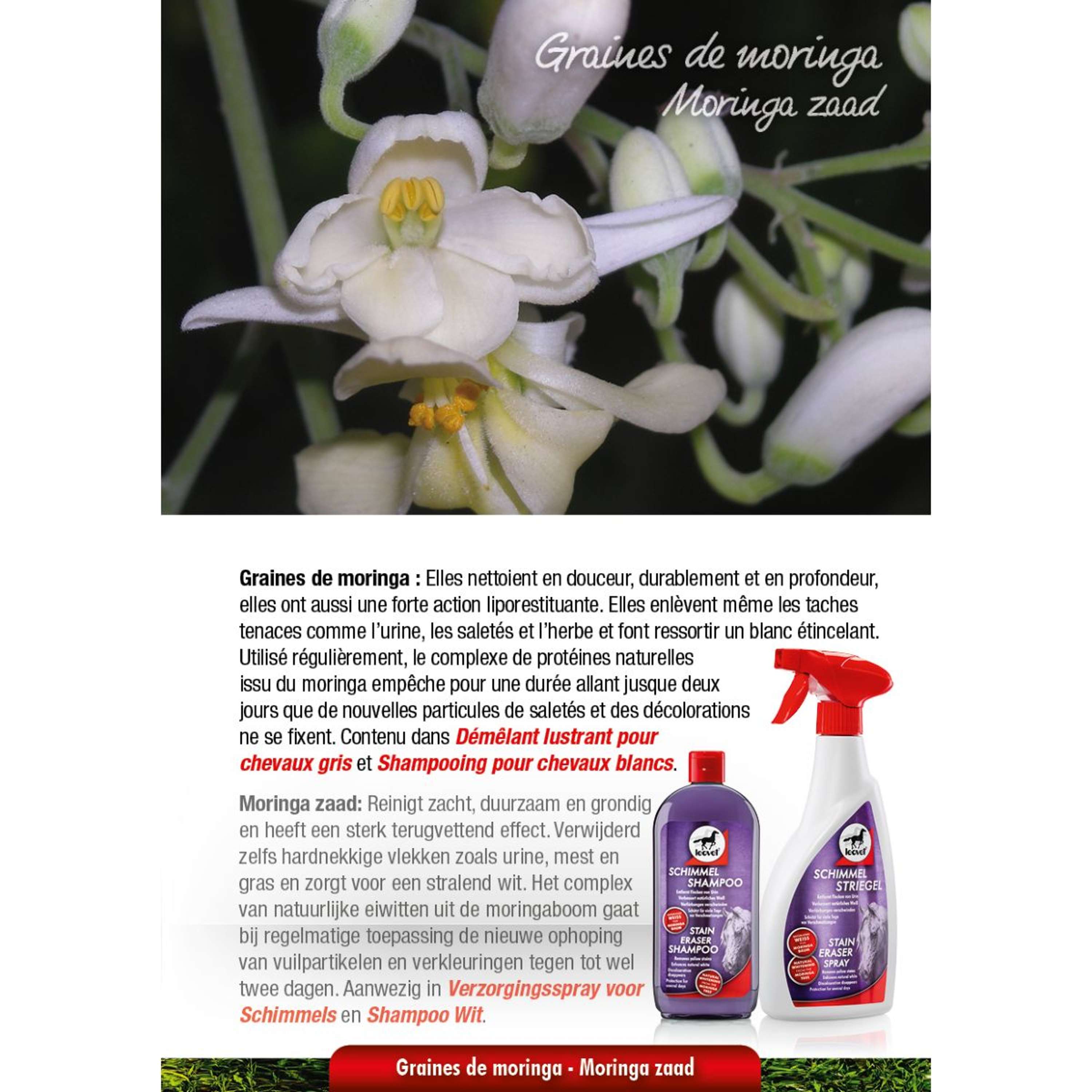 Spray Leovet Milton
