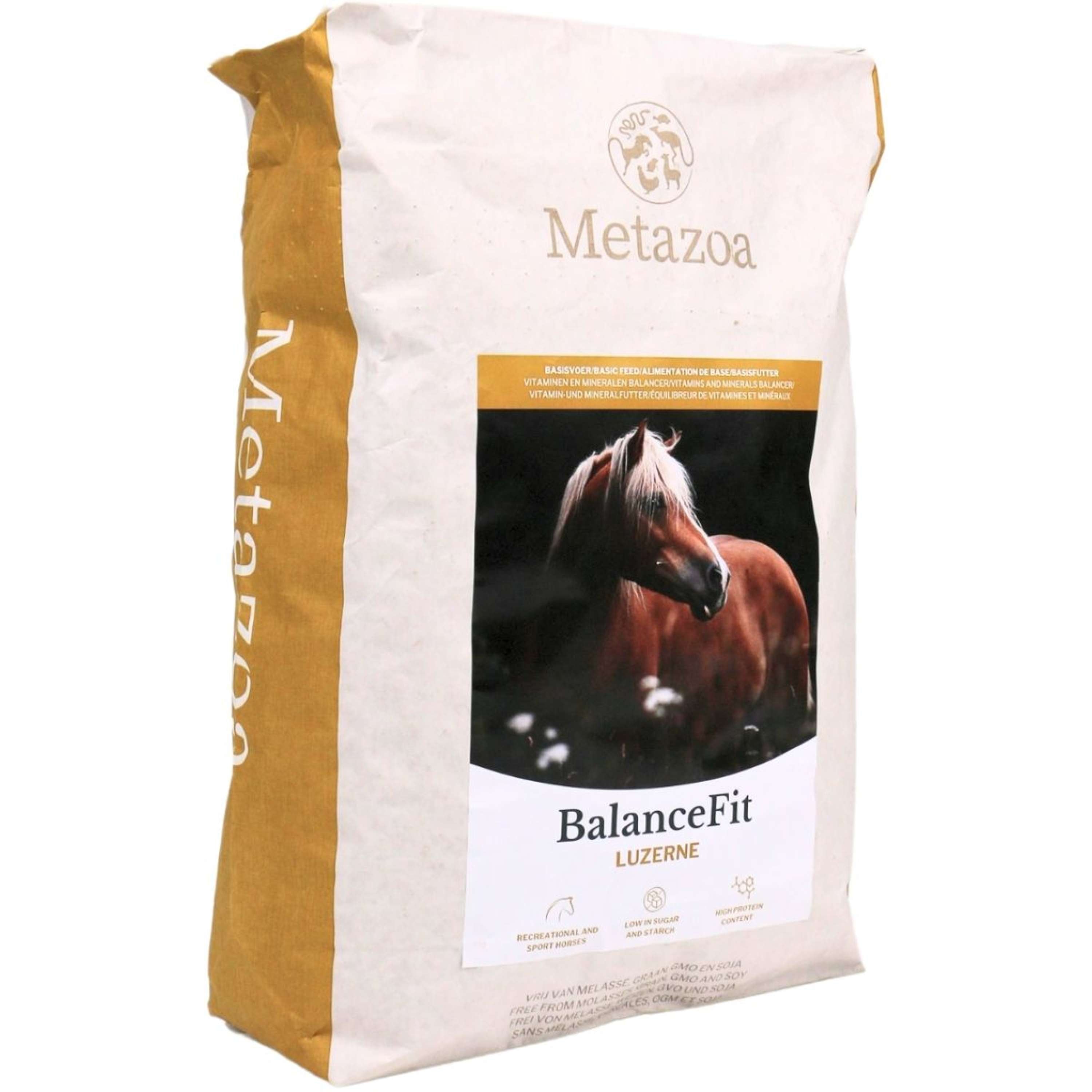 Metazoa BalanceFit Lucerna
