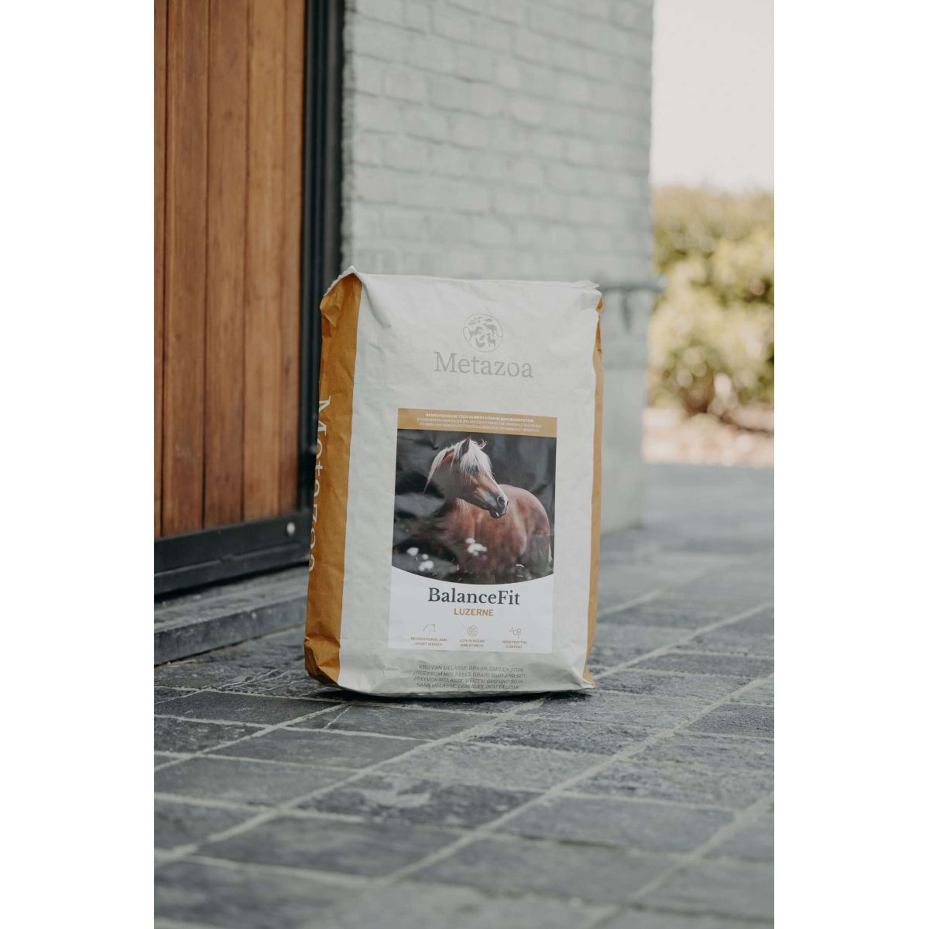 Metazoa BalanceFit Lucerna