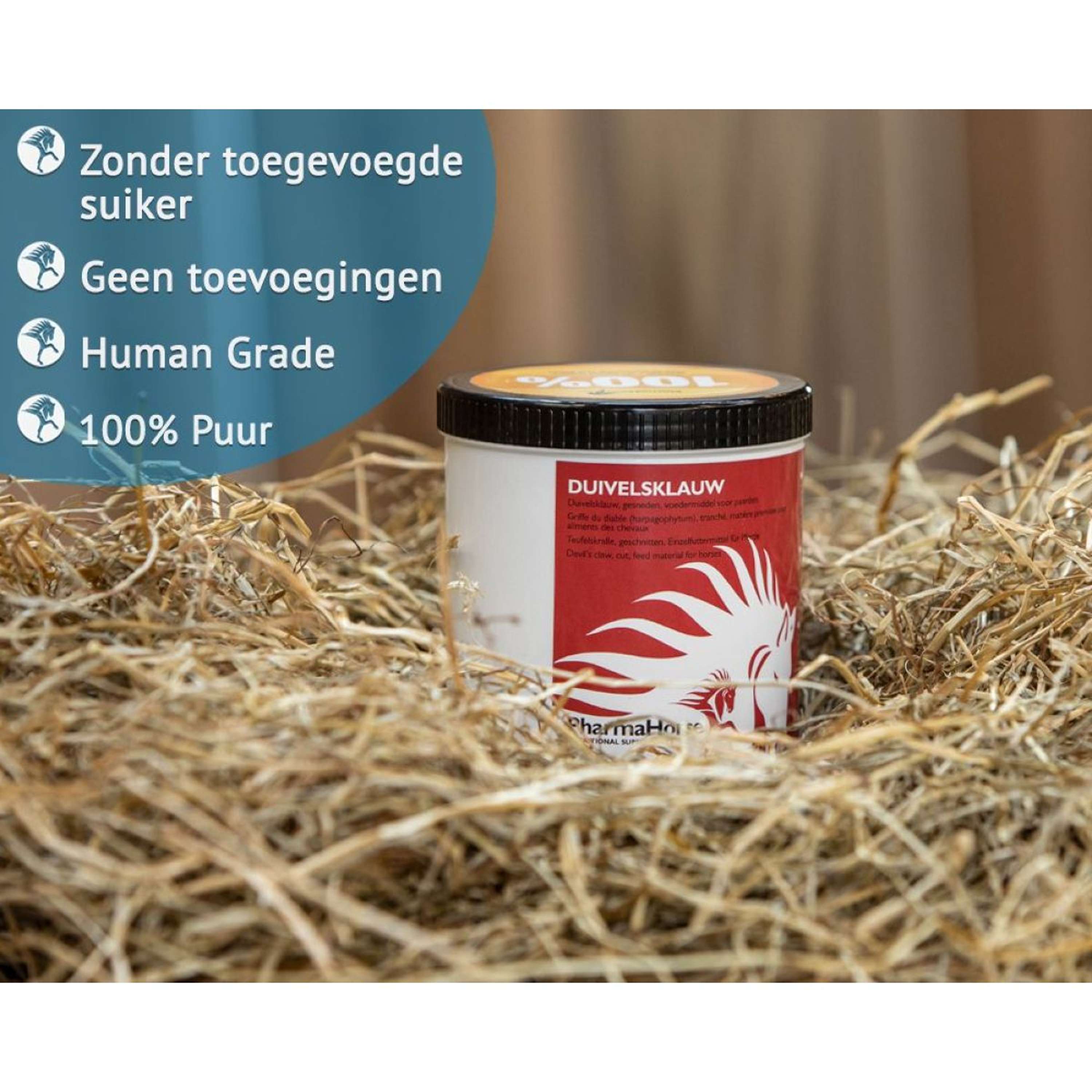 PharmaHorse Diabelski Pazur Koń