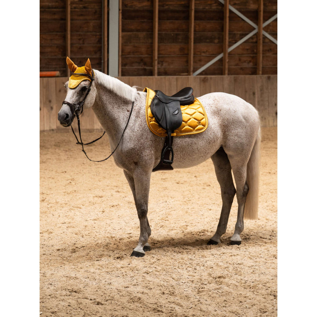 Czaprak PS of Sweden Signature Skokowy Old Gold