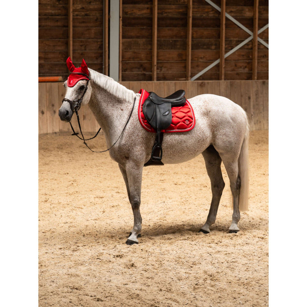 Czaprak PS of Sweden Signature skokowy Cranberry Red