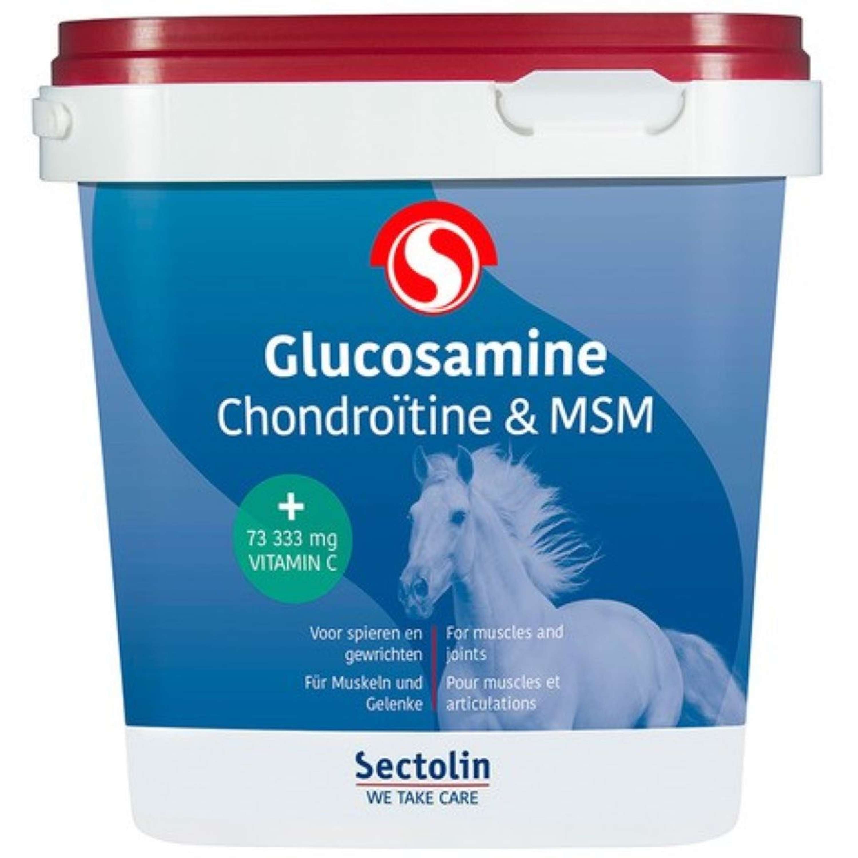 Sectolin Glukozamina, Chondroityna I MSM