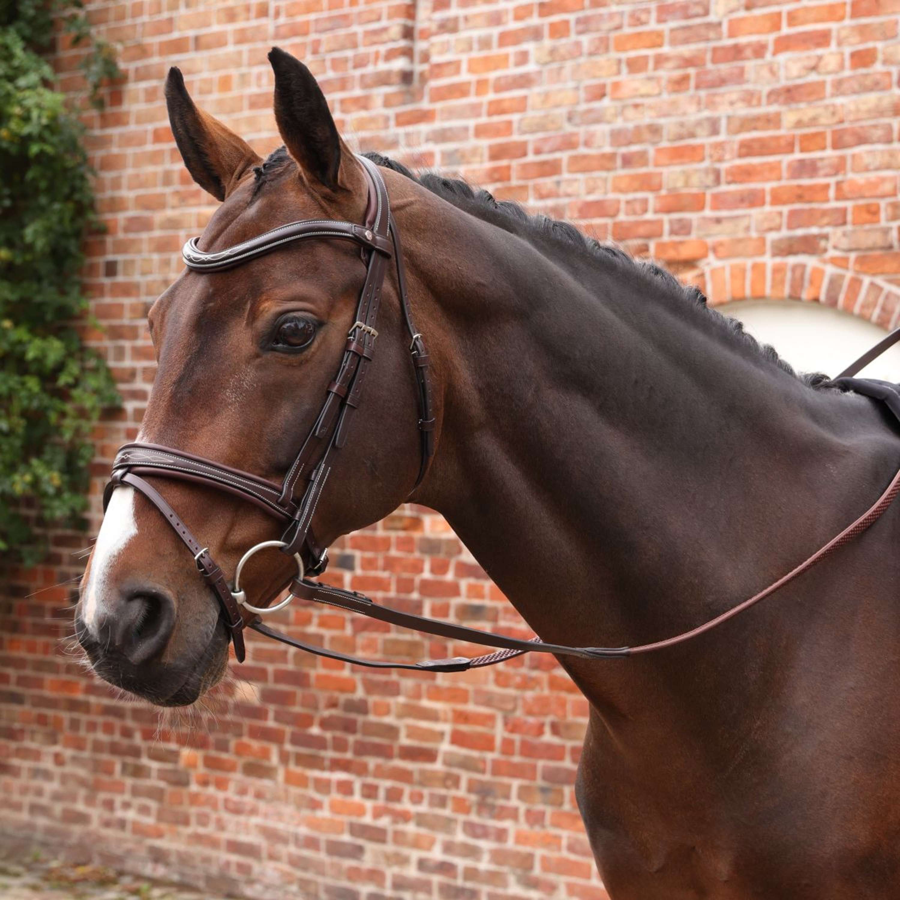 Velociti by Shires Wodze Lusso Elite Pro SureGrip Hawana