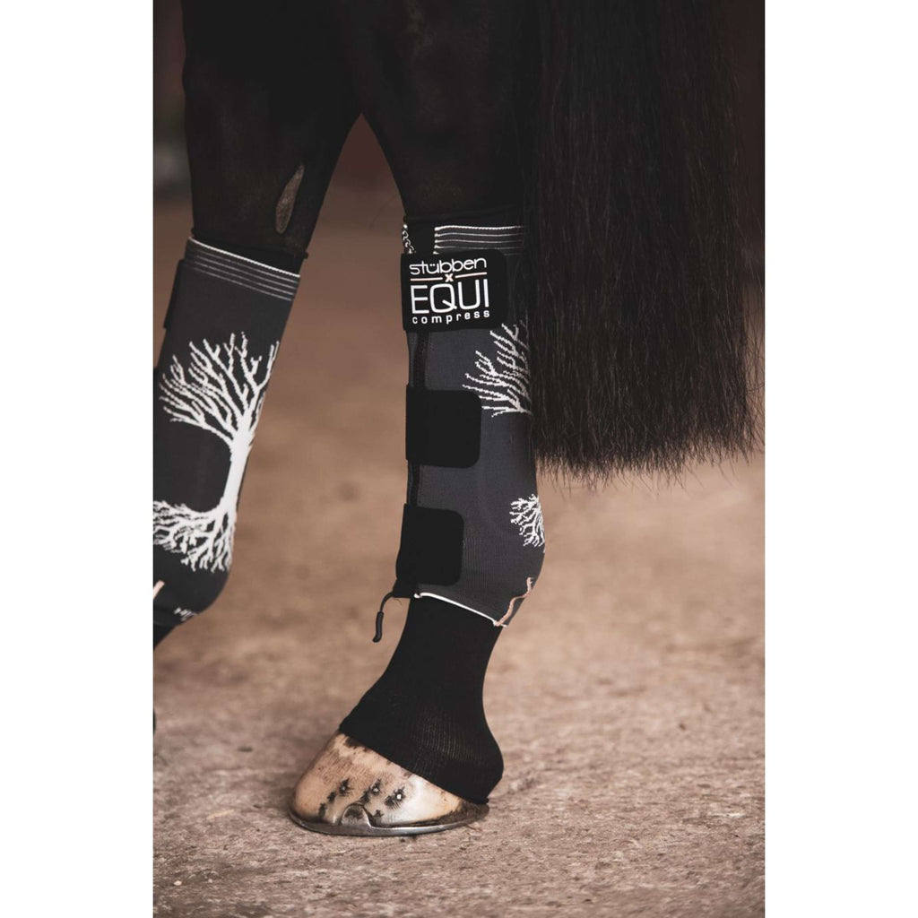 Stübben Equi Compress Zestaw na tylne nogi