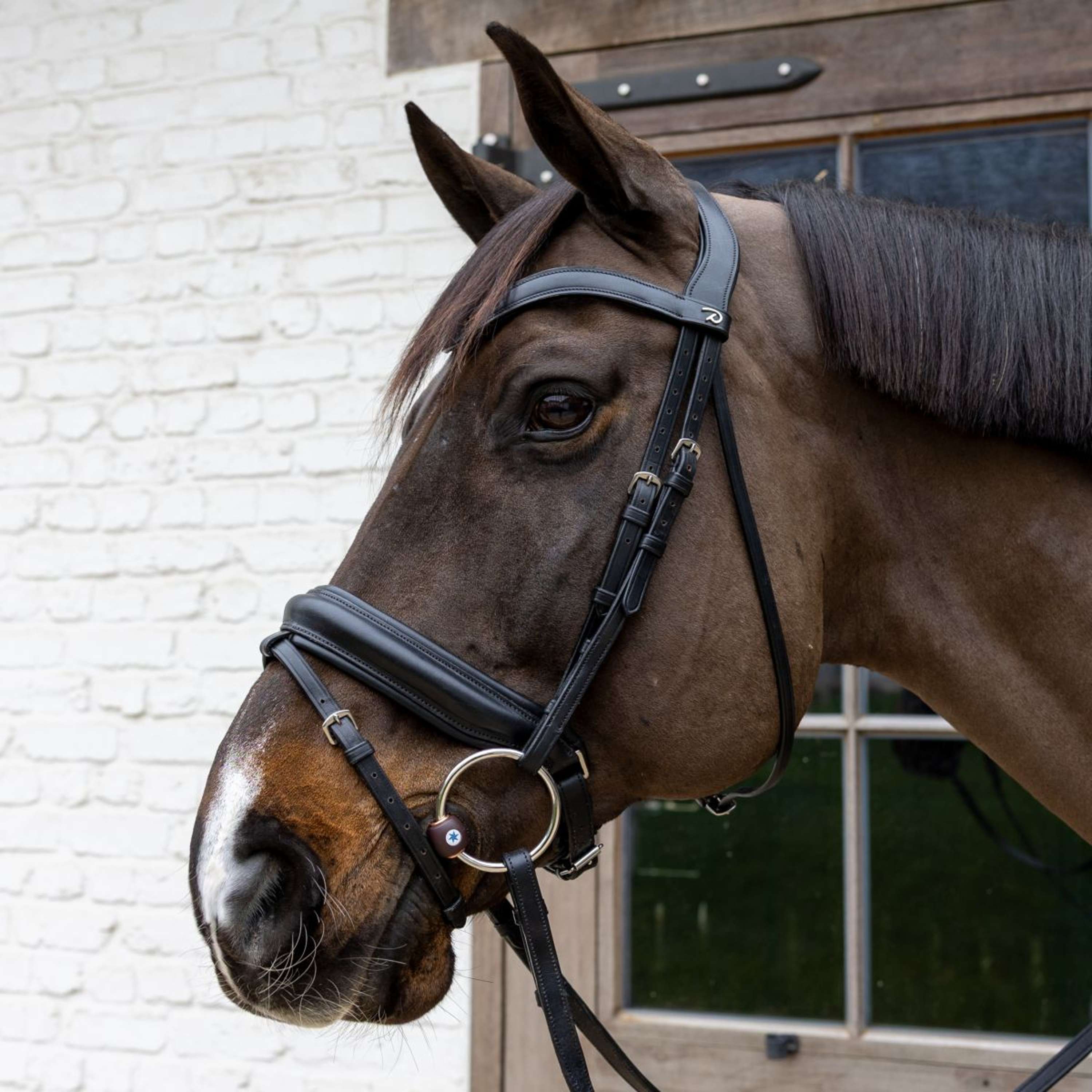 Velari Loose Ring Snaffle Bit Flex Hard 20mm