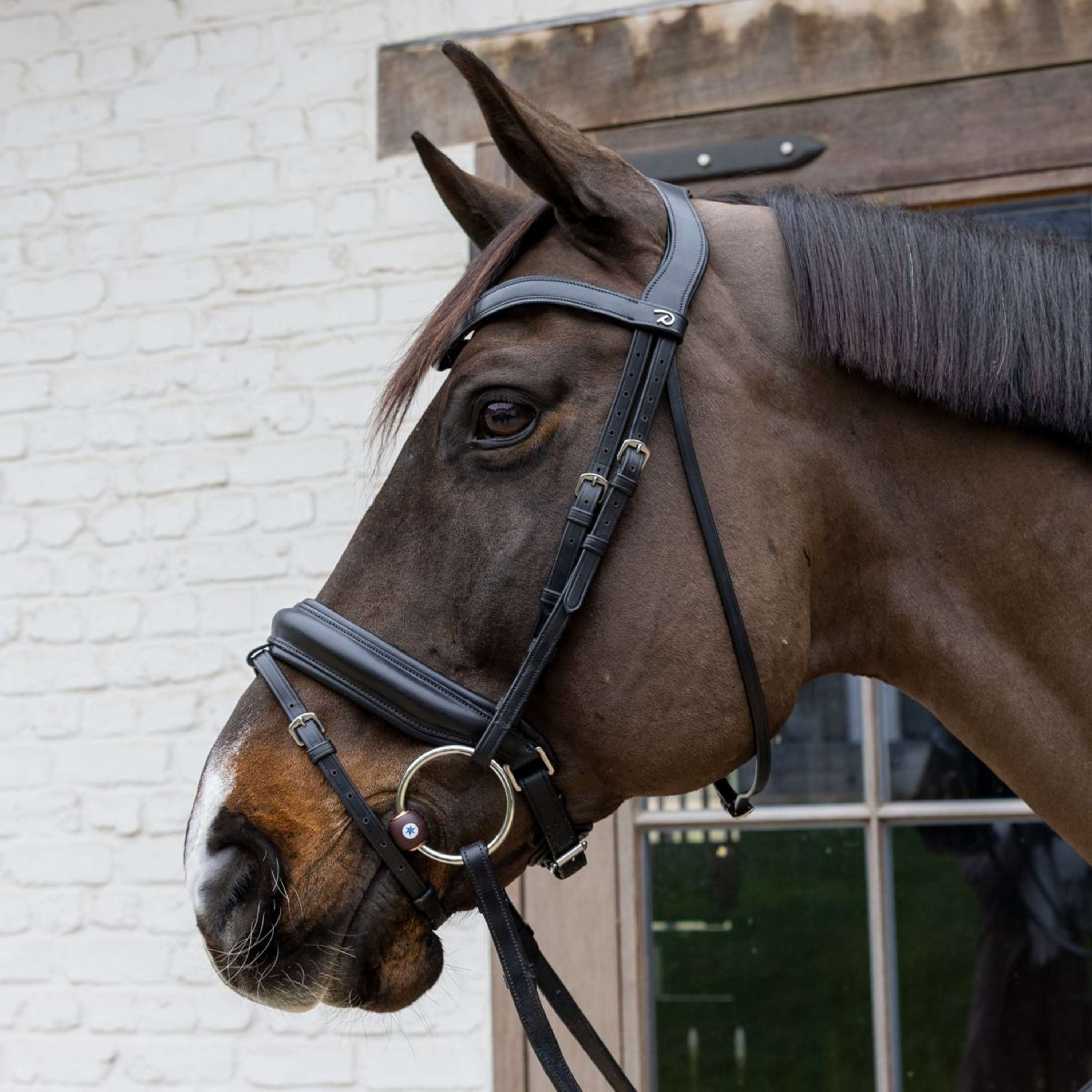 Velari Loose Ring Snaffle Bit Flex Hard 20mm