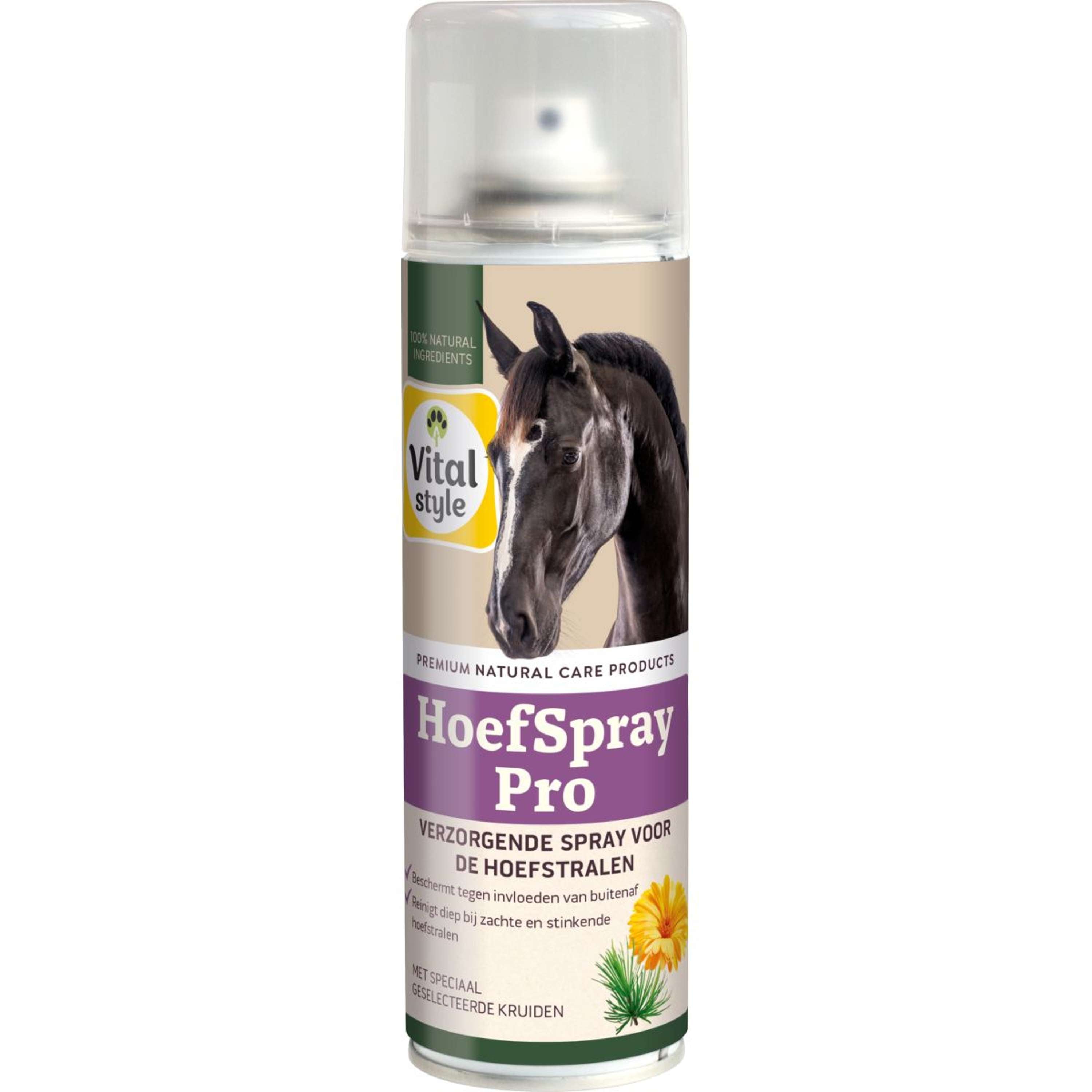 Vitalstyle Spray do kopyt Pro