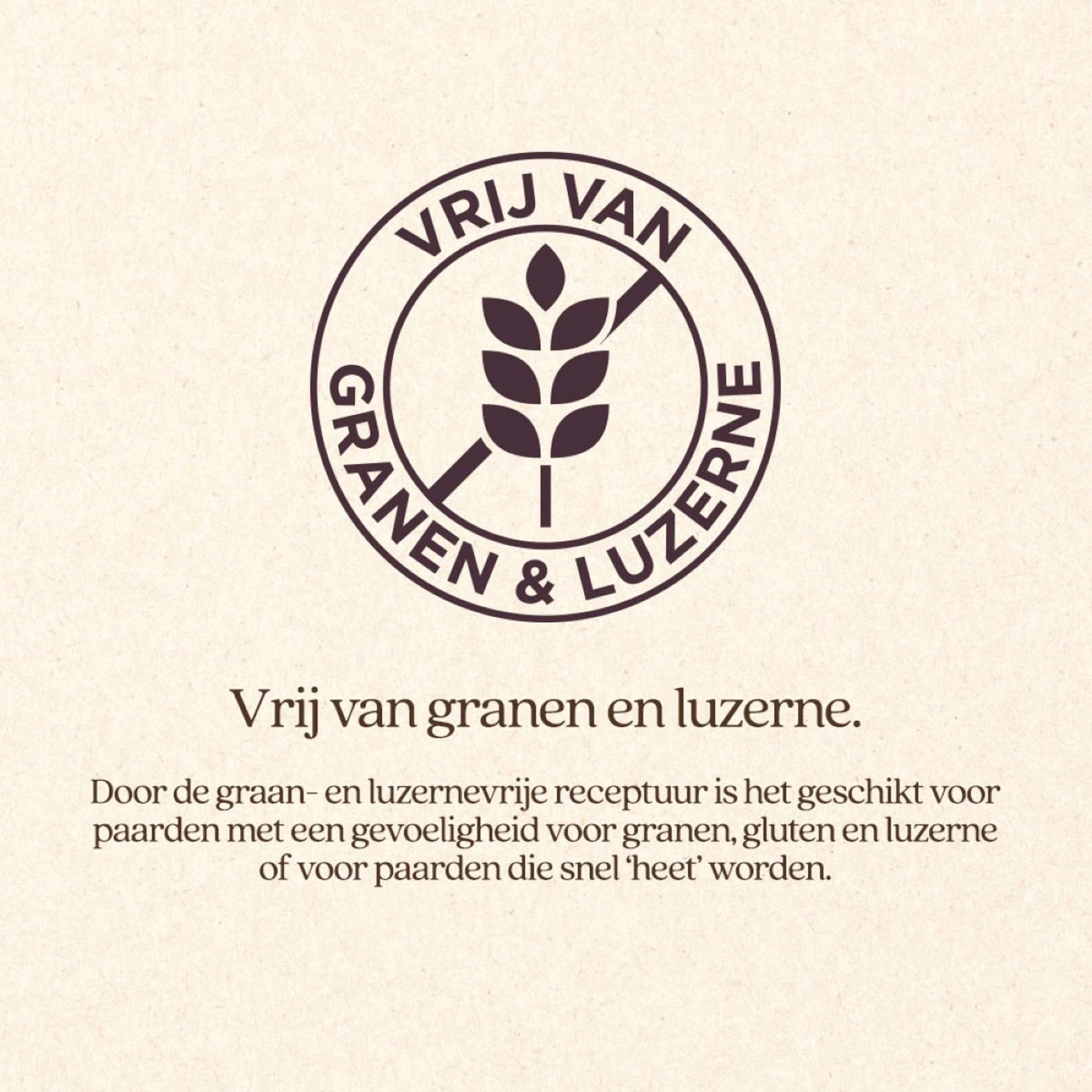 Vitalstyle Mieszanka pasz objętościowych Soft & Fiber