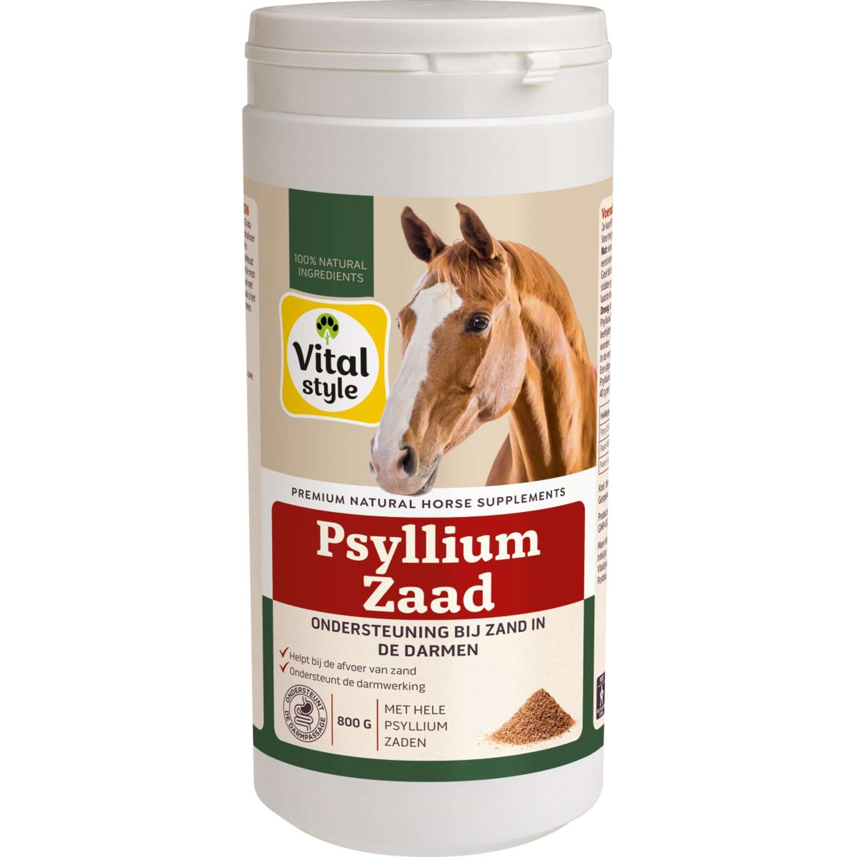 Vitalstyle Nasiona Psyllium
