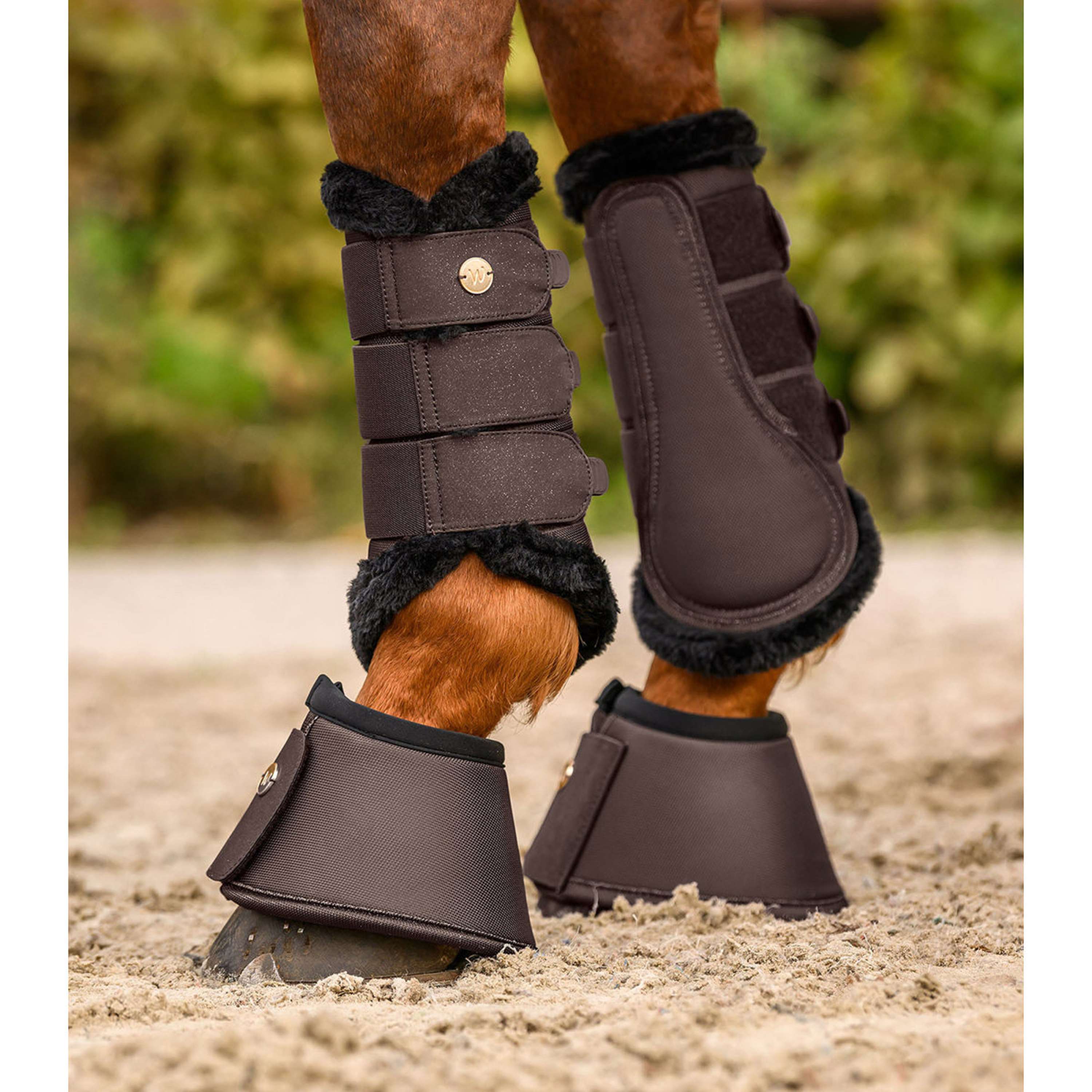 Waldhausen Buty Ujeżdżeniowe Phoenix Espresso