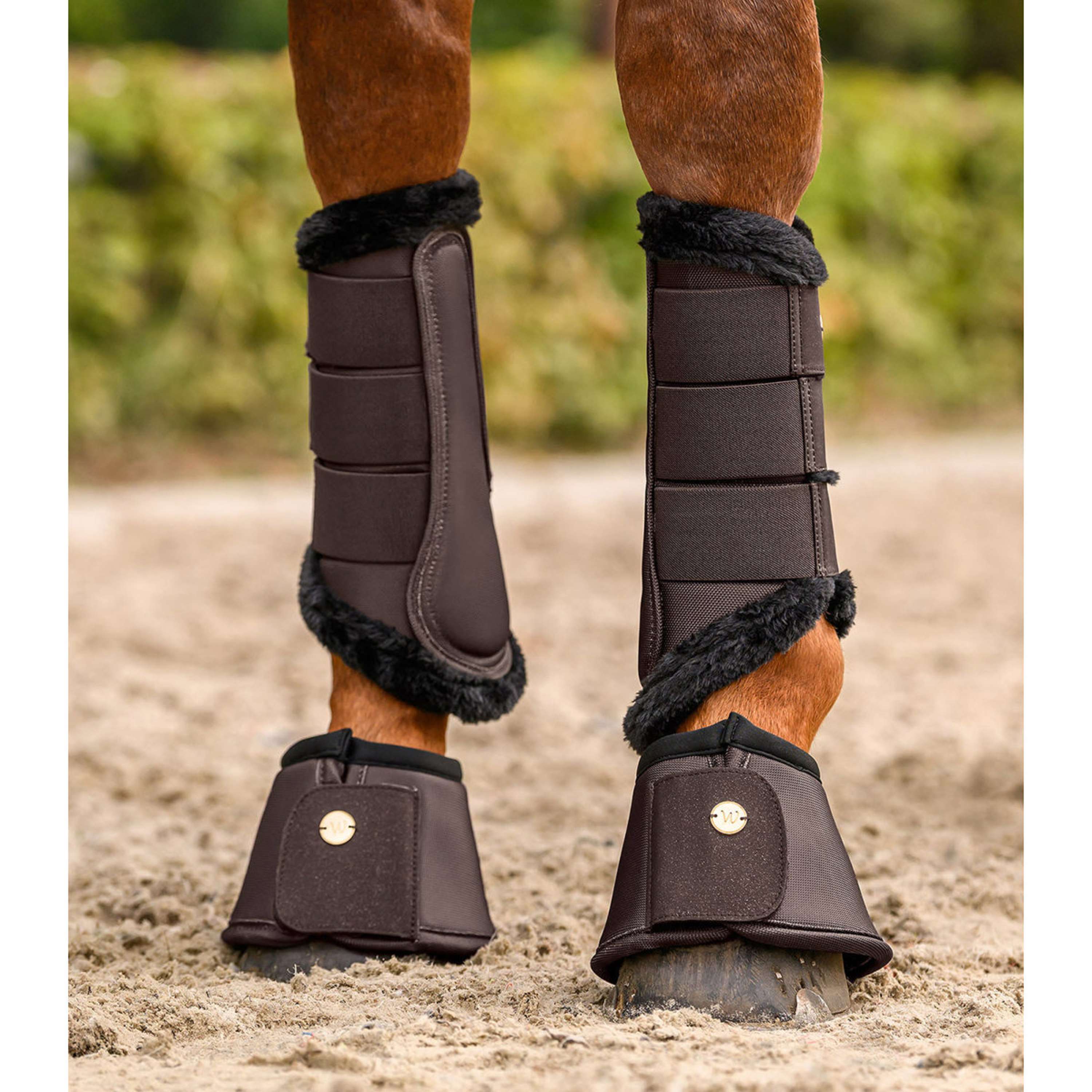 Waldhausen Buty Ujeżdżeniowe Phoenix Espresso