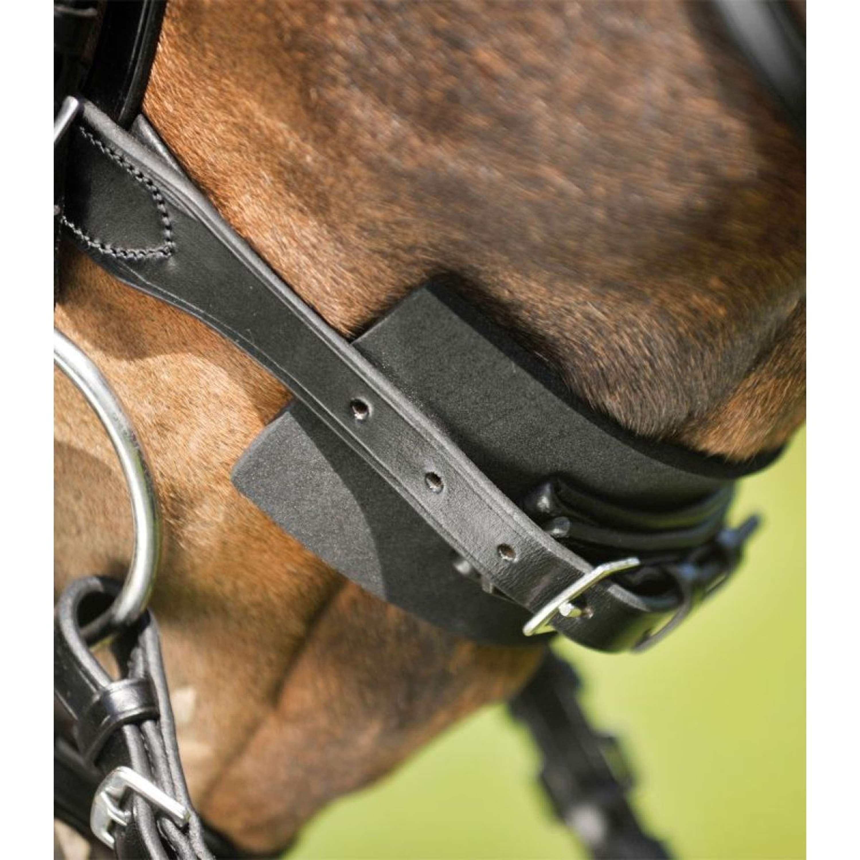 Waldhausen Chain Guard Black